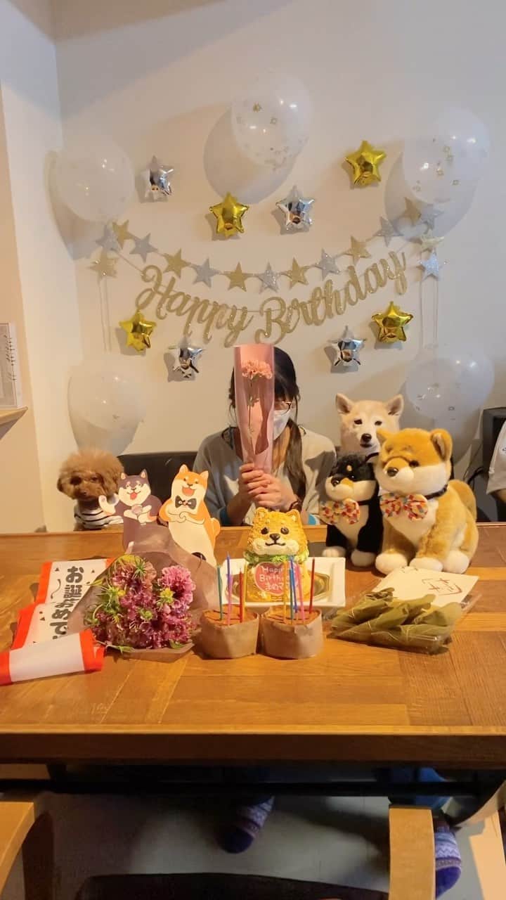 柴犬 けんしろう ゆりあのインスタグラム：「🐶🐶🎂🐶🐶  実は今回のまめまろけんゆり集合最大のミッションは まめたろうママのサプライズBDパーティーでした🎂🎉  まろん姉さんとペット博へ行く前に 事前準備を整えて出発！  まめたろうママの誕生月だし勘づいちゃうかな？と 心配してましたが、幸いまめたろうママ ペット博のことで頭がいっぱいで全然バレなかった(笑)  まろんさんとゆりあを小脇に抱えて 満面の笑顔を見せてくれたまめたろうママ❤️  柴犬さんケーキとお花と装飾のサプライズ 喜んでもらえてうれしかったなぁ🥰  お空のすみれさんとまめたろうくん ママは元気にがんばってますよ！  これからもずっとずっとそばで見守っていてね❤️  この日はこどもの日だったので🎏 柏餅もテーブルに並んでます(笑)  まろん姉さん 私にもカーネーションありがとう❤️  #happybirthday  #誕生日  #まめまろけんゆり #柴犬 #shiba #トイプードル」