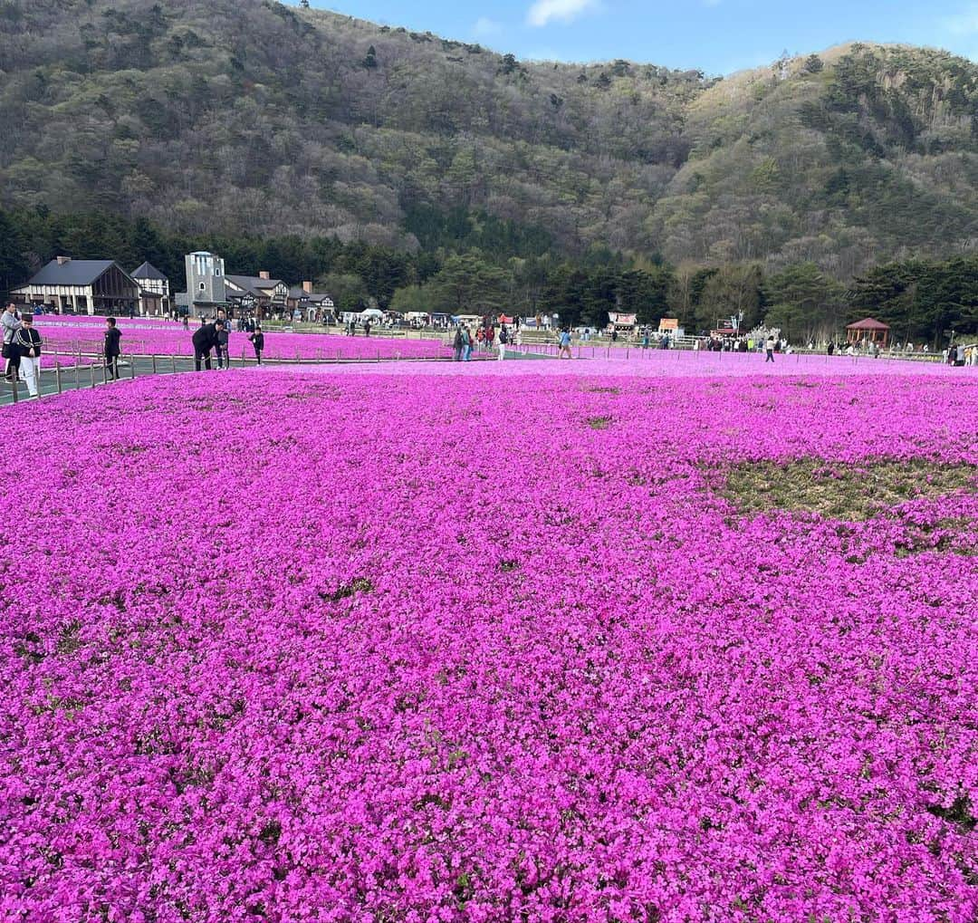 MIOさんのインスタグラム写真 - (MIOInstagram)「4月のちょうど見頃に行けた芝桜まつり🦄🌺🌸💒🎀💗 バイクで行くにはまだ寒かった、、、🥹」5月7日 19時39分 - mio.xx13