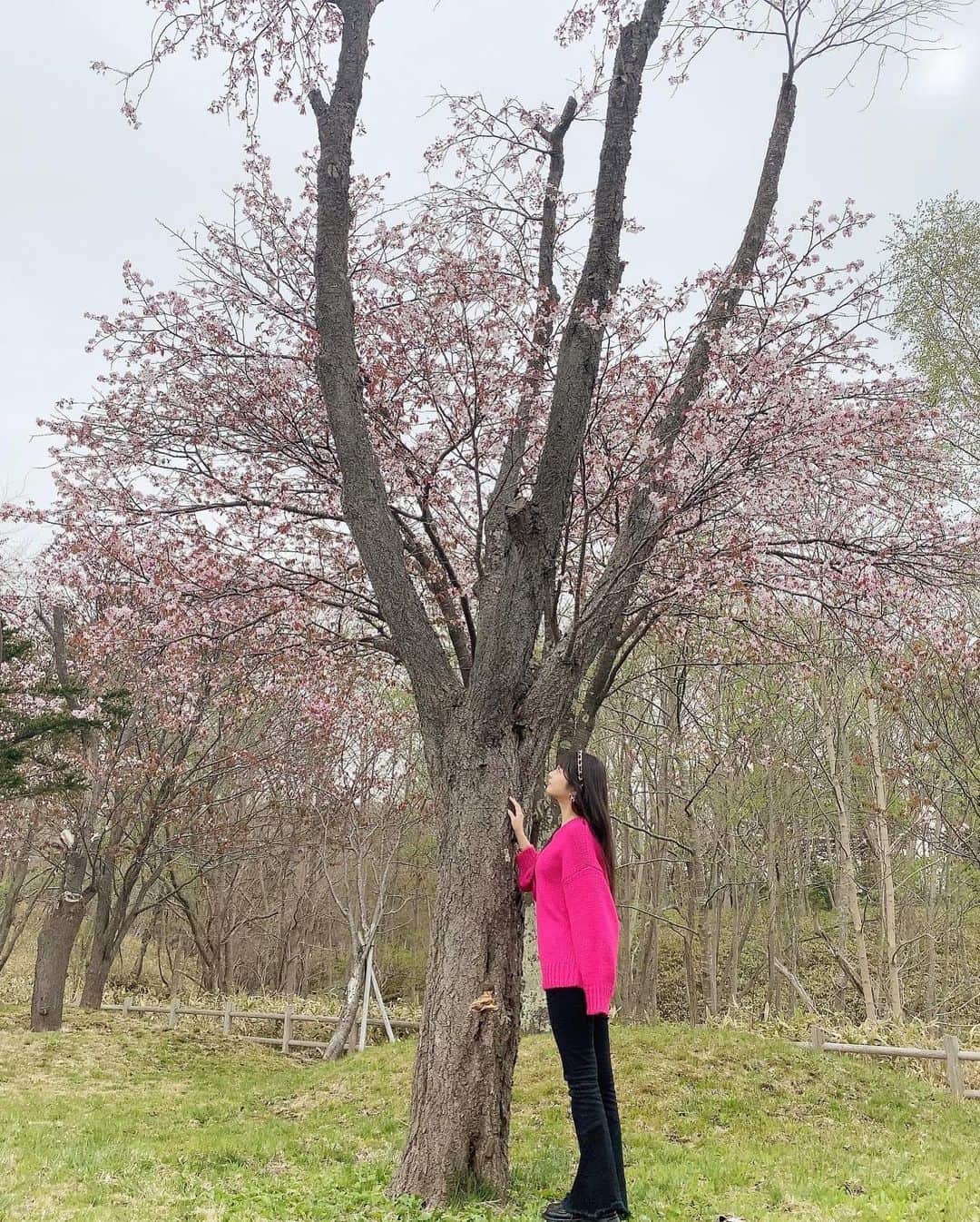 山下彩耶さんのインスタグラム写真 - (山下彩耶Instagram)「今年桜全然見れませんでした、 終わりかけの桜🌸  北海道いつ咲いてた？？（笑）」5月7日 19時43分 - saya_chan1207