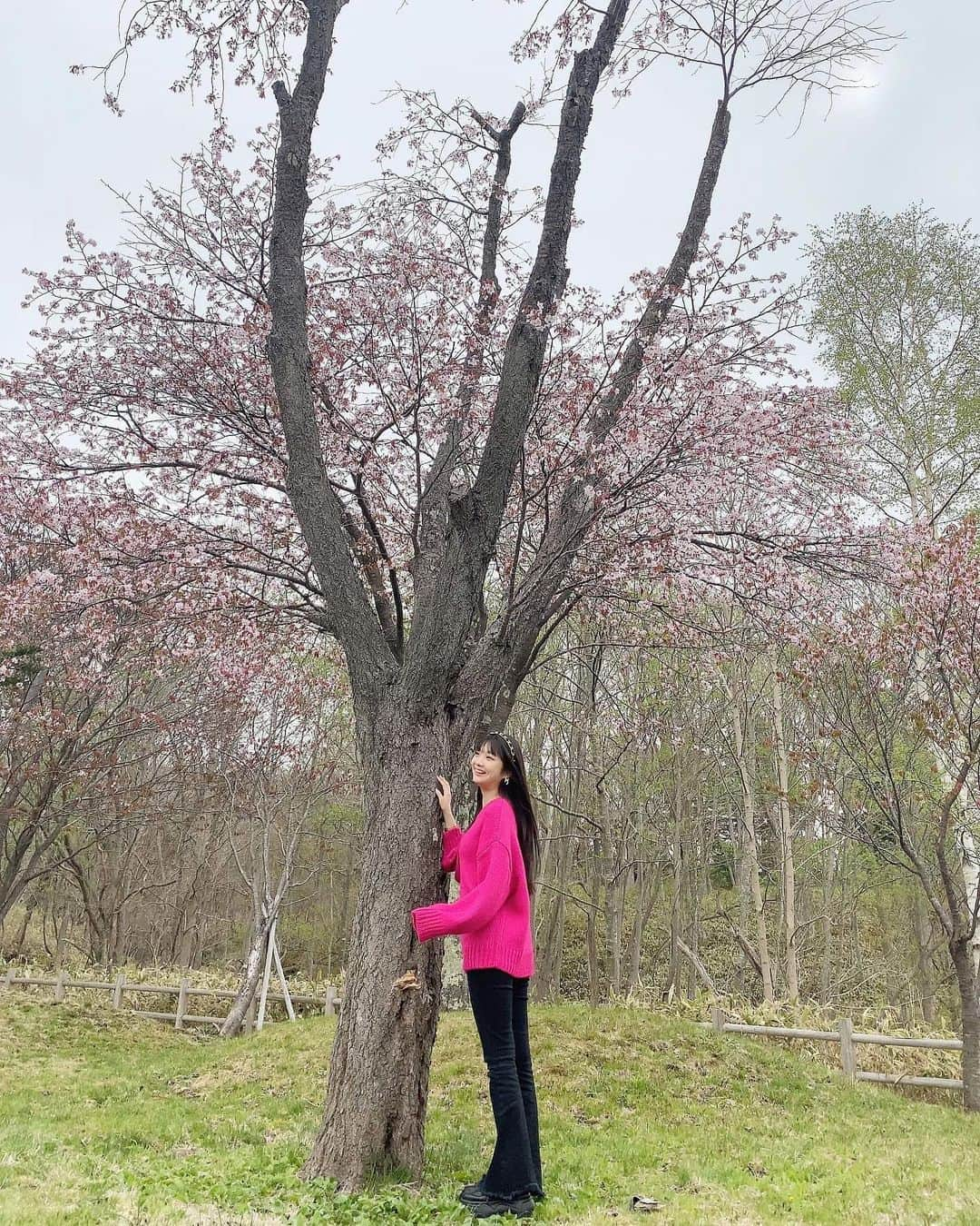 山下彩耶さんのインスタグラム写真 - (山下彩耶Instagram)「今年桜全然見れませんでした、 終わりかけの桜🌸  北海道いつ咲いてた？？（笑）」5月7日 19時43分 - saya_chan1207