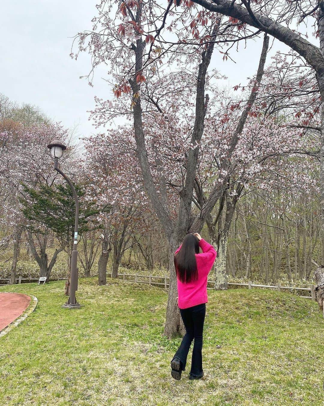 山下彩耶さんのインスタグラム写真 - (山下彩耶Instagram)「今年桜全然見れませんでした、 終わりかけの桜🌸  北海道いつ咲いてた？？（笑）」5月7日 19時43分 - saya_chan1207