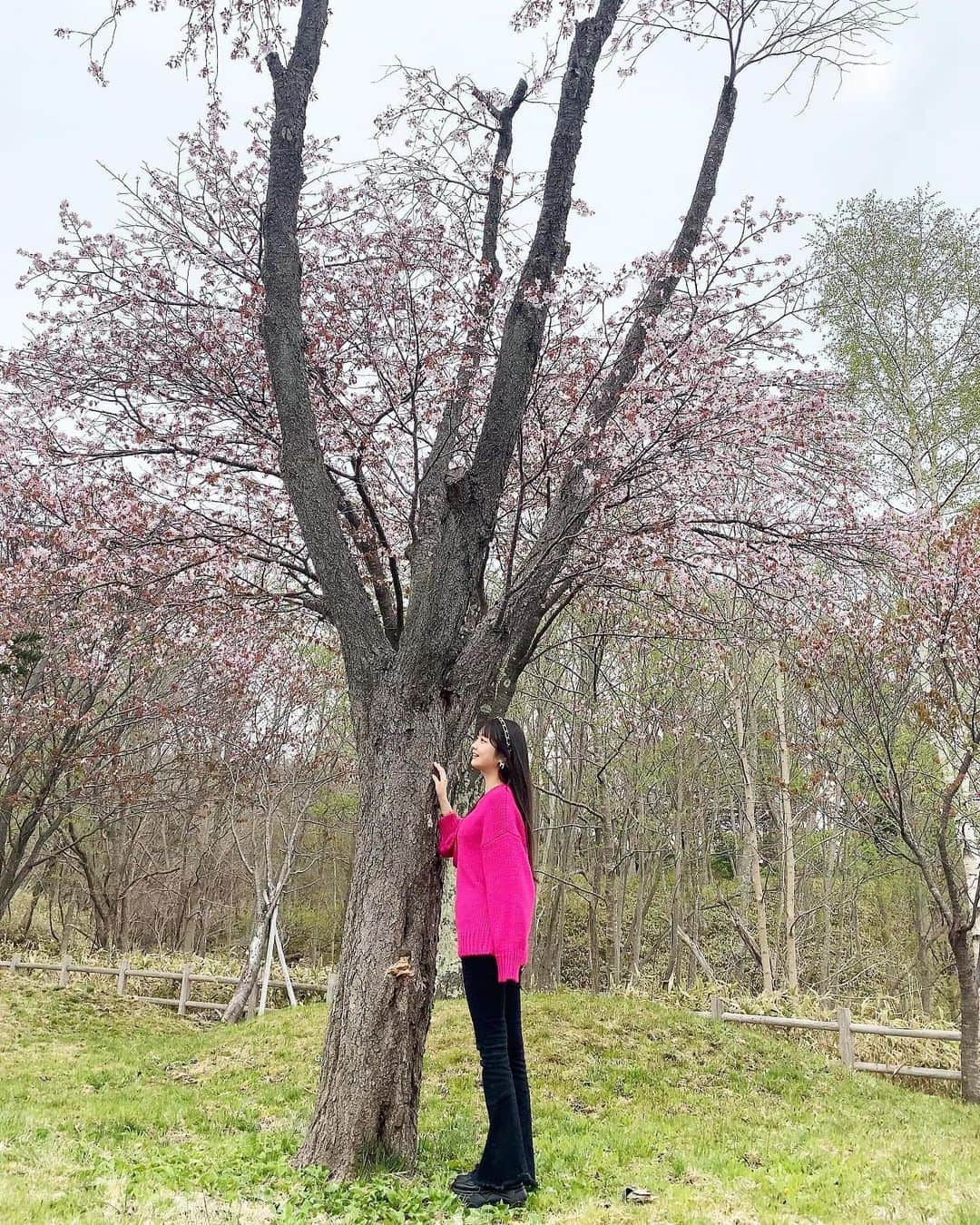 山下彩耶のインスタグラム：「今年桜全然見れませんでした、 終わりかけの桜🌸  北海道いつ咲いてた？？（笑）」