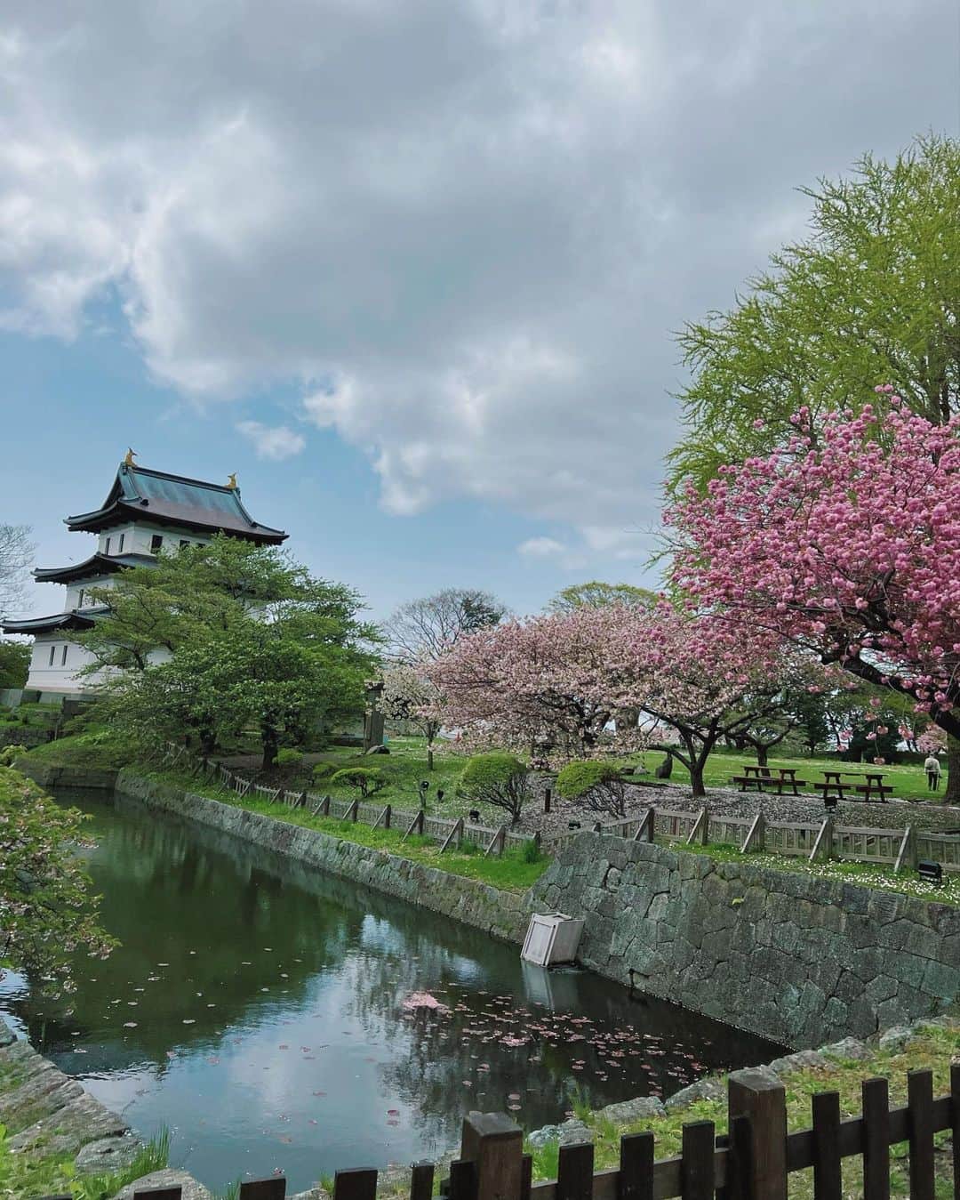 平アスカのインスタグラム：「松前のさくらまつりとっても綺麗でした🌸 GWのこの時期の桜を観るのを心待ちにしていました。 250種類一万本の桜たちは何度観に行ってもお天気や風で見え方がちがって飽きないの！！ わたしは濃い紅色の"関山"がいちばんお気に入り🌸💓 桜たちの向こうに津軽海峡が見えるのも松前ならではの特別な景色ですき！！ 東京ではもうすこし暑くなって過ぎ去った日本の春を松前で味わうことができてよかった〜！！ #松前 #松前城 #松前町 #北海道 #北海道旅行 #桜 #松前の桜 #さくらまつり」