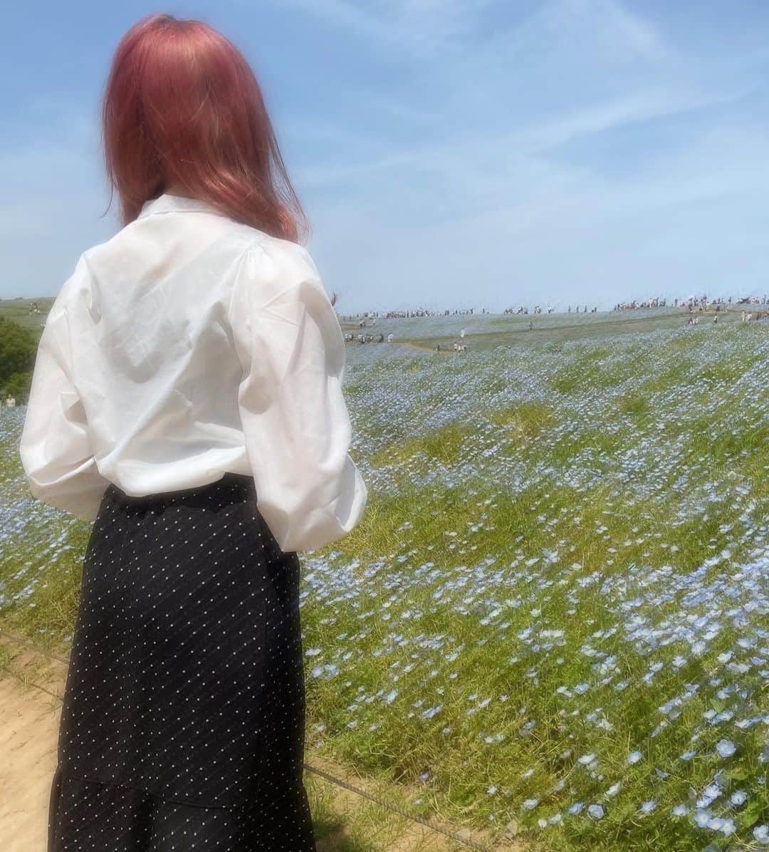 深野ひなのインスタグラム：「ゴールデンウィーク1日しかお休みなかったけどお出かけできたっ✨  #ネモフィラ #ひたち海浜公園 #ゴールデンウィーク #いちご飴 #大福 #ソフトクリーム」