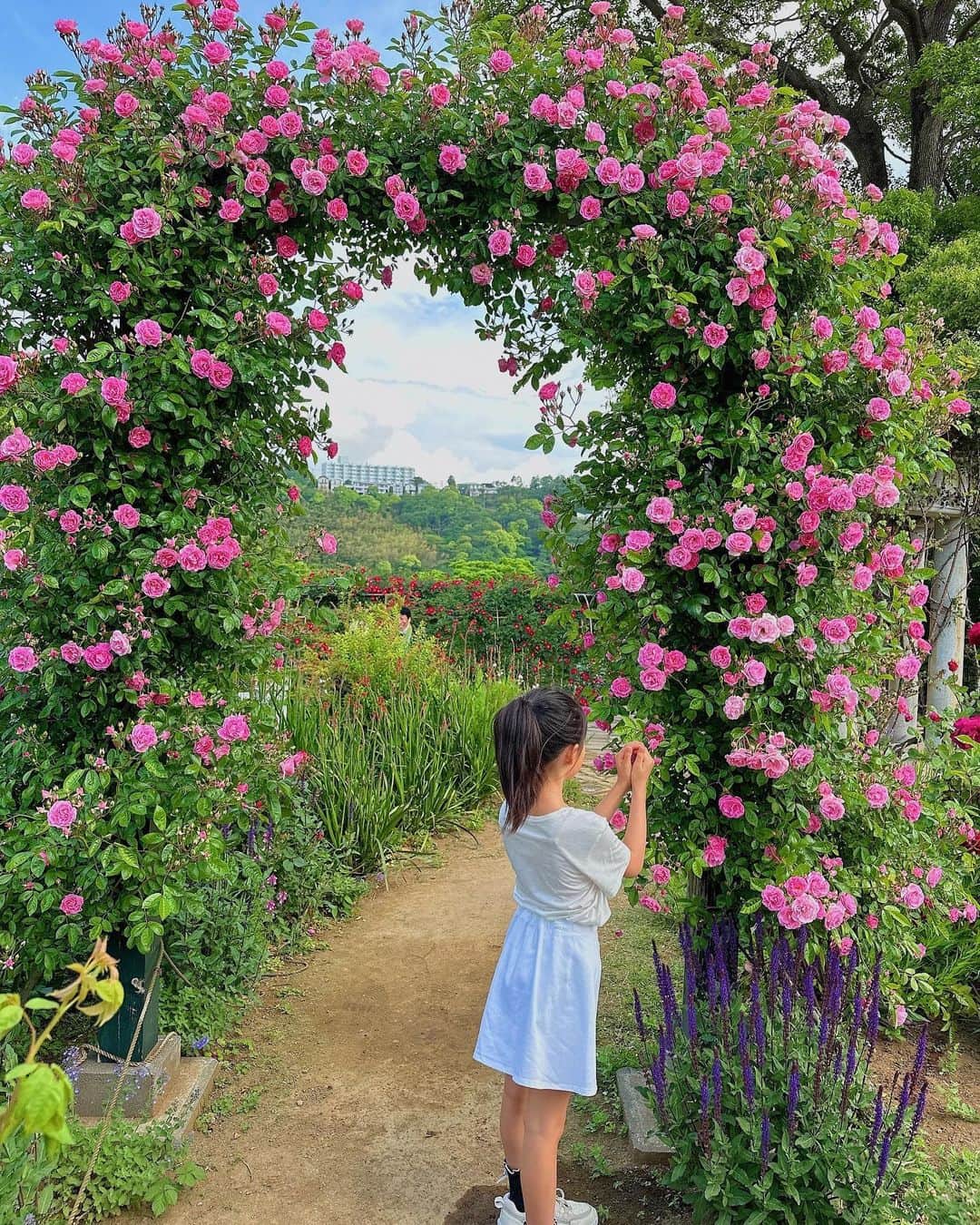 MIRIさんのインスタグラム写真 - (MIRIInstagram)「お花に囲まれて幸せでした💐  チビさんは薔薇に囲まれて毒キノコの踊りをしていました🍄  #gw #gw旅行  #家族 #家族旅行  #花 #Flower #ガーデン #熱海 #海  #dior  #ポニーテール #親子コーデ #リンクコーデ  #🌹 #🌿 #薔薇 #ハーブ  #rose #herb」5月7日 20時19分 - miri.o3