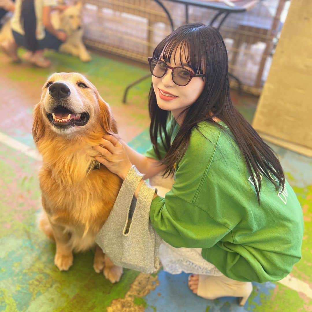 八角瑛子のインスタグラム：「わんわんランド🐶💚 ずっと楽しみにしてた(๑ᴖ◡ᴖ๑)  #茨城旅行 #つくばわんわんランド」