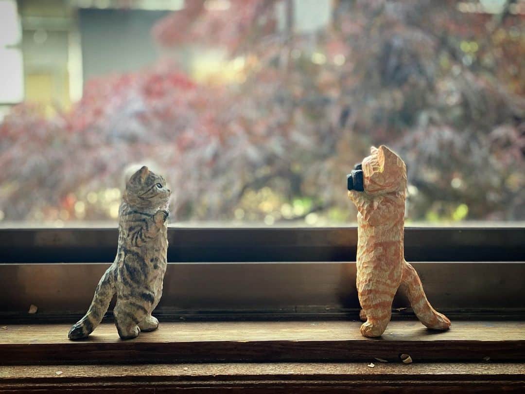 花房さくらさんのインスタグラム写真 - (花房さくらInstagram)「「ハイ、撮るよー」 「こんな感じ？」 「そうそう、笑って笑って」 「おかしくもないのに笑えないよう」 「それ！その顔でいいよ！」  #猫は時として旅をする #cat #sculpture #hanafusasakura」5月7日 21時06分 - sakura_hanafusa