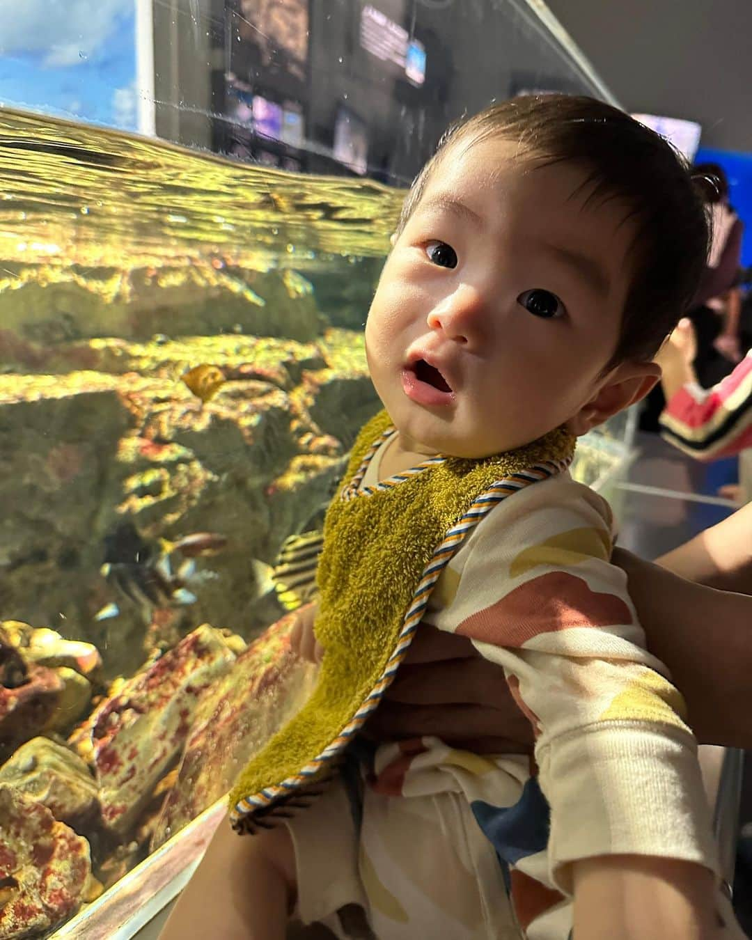 Karinさんのインスタグラム写真 - (KarinInstagram)「GWの思ひで  #初節句 #初水族館 #生後8ヶ月  #aquarium #japan #japon」5月7日 21時26分 - kaorikarin_u