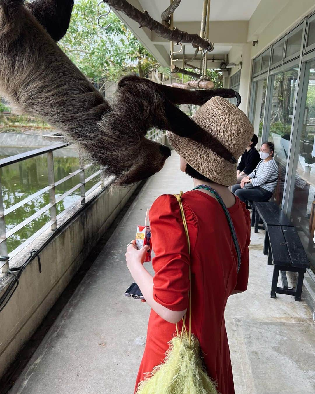 本島彩帆里さんのインスタグラム写真 - (本島彩帆里Instagram)「@ネオパーク沖縄 あみちゃん @ami_ishii_ が教えてくれた 鳥と触れ合えるスポット！  とっても広い環境でのんびりと過ごす 鳥が沢山いて、癒しパークだった…  オススメです…  最後の写真は沖縄の蝶 #オオゴマダラ のサナギ。蝶の姿もほんと〜に美しいのだけど、蛹が金色なんですよ…自然の色で、すごくないですか？？いつか生でみたいと思っていたけど、ネオパークには沢山オオゴマダラが舞っていて、蛹も観察できました😭🥺❤️  @neoparkokinawa  #ネオパーク沖縄」5月7日 21時24分 - saori_lifestyle