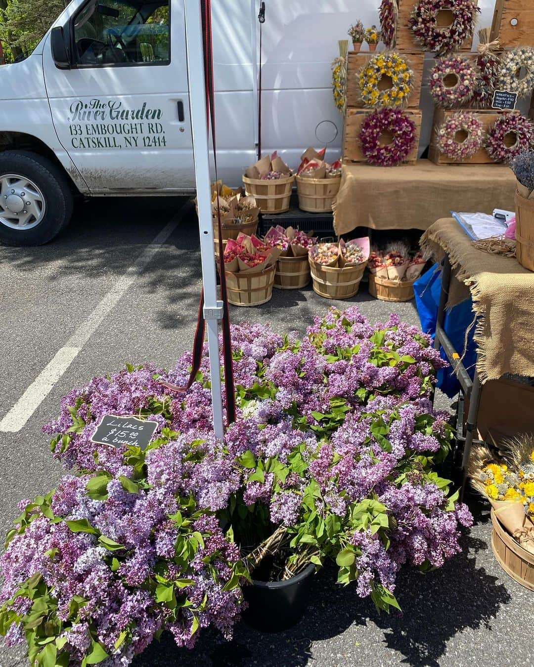 ベイカー恵利沙さんのインスタグラム写真 - (ベイカー恵利沙Instagram)「Opening day for the outdoor Farmers Market 🥒🍒🥝🥐🏵🫐🍋🥧 野外のファーマーズマーケットが今年初めて開催された日🥭 ローカルのオーガニックな野菜、 人間の数と同じくらいいる可愛いわんこたち、 美しい花とコミュニティコンポスト 祝いの陽気なブラスバンド  長い冬を越えたあとの 青空の下のファーマーズマーケットが街にもたらす歓びったら！💐 一番好きな週末のはじめかた♡」5月7日 21時34分 - bakerelisa