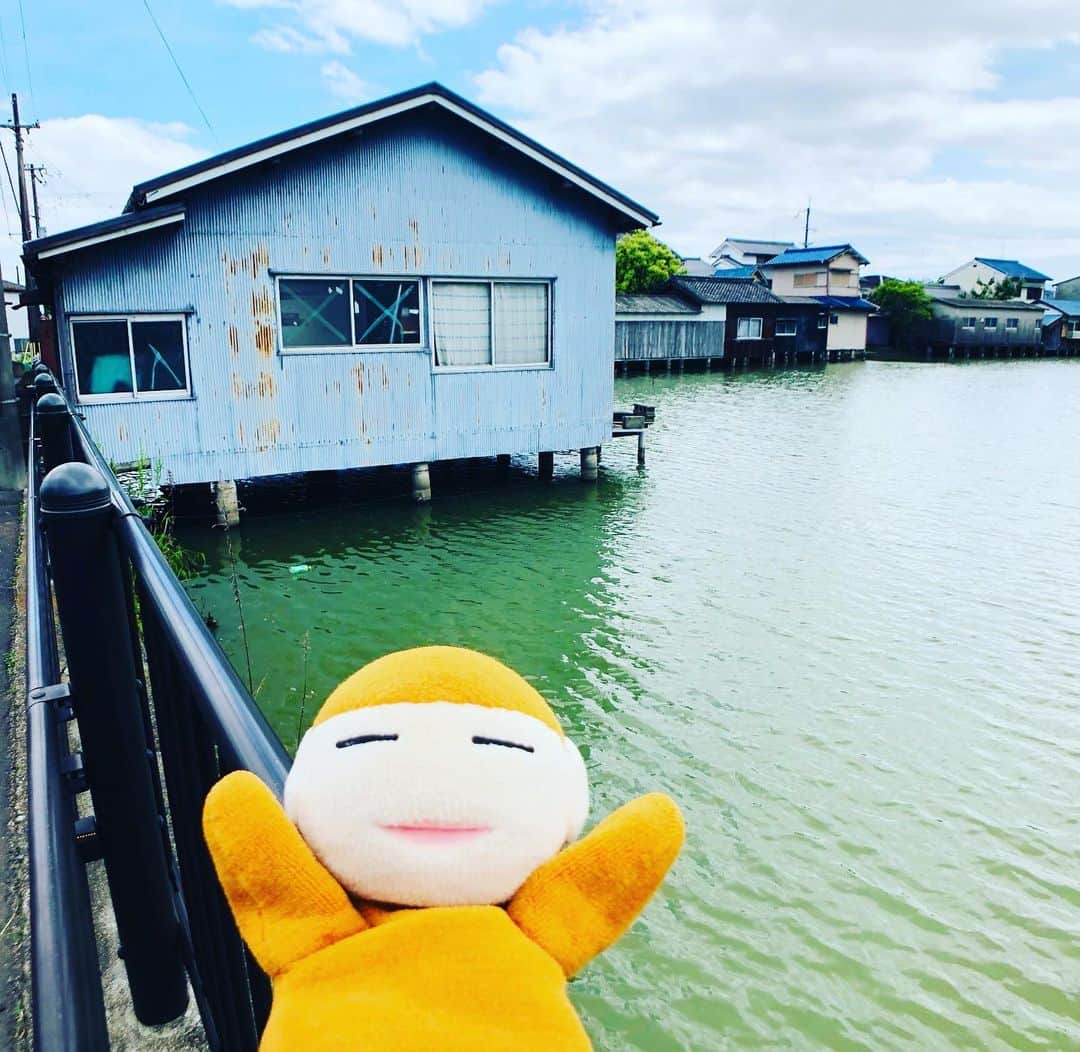 水谷さるころのインスタグラム：「行ってみたかった古墳！　島の山古墳。古墳のお堀の上に家が建ってるのです。これ、再建築不可物件だよなーまだ住んでるのかな？　と思ったらバリバリ現役住居だった。半分くらい地面なのかなと思ったら予想よりお堀の上だった。こういうの、実際に来ないとわかんないよね。国指定史跡なのに、お堀に家建っててほんとにすごい…。　#2023GW大阪」