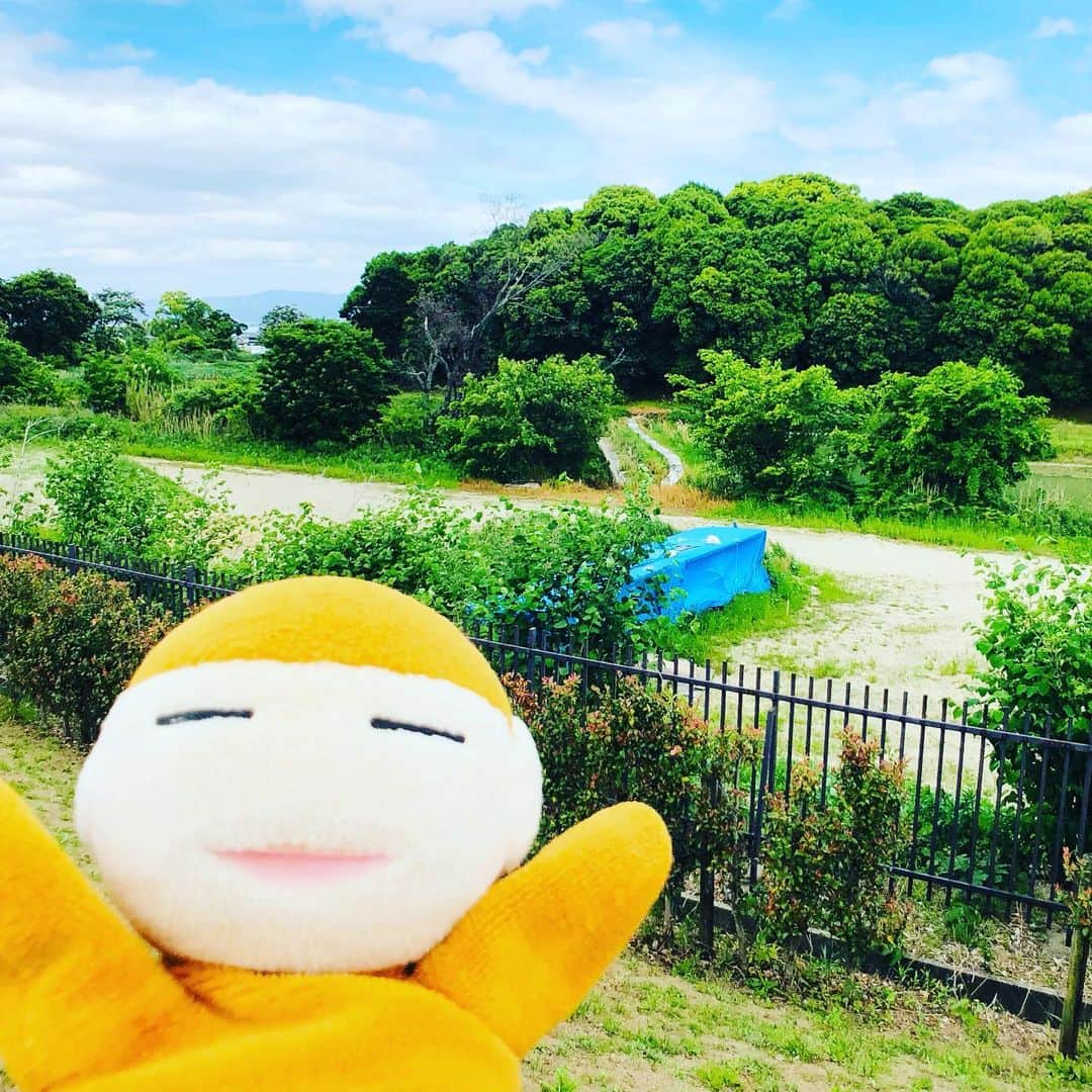 水谷さるころのインスタグラム：「巣の山古墳と、ナガレ山古墳に行こうと思って、馬見丘陵公園に行ったら巣の山古墳は公園無い施設じゃなかった！　びっくり。公園からうまく入れず諦める。そして、ナガレ山古墳へ。ここは半分が葺石とハニワで復元されてて、半分が芝生のあしゅら男爵スタイル。高台にあって、かなりの「民よ！」スポットだった。ナガレ山古墳、古墳旅の最後を締めくくるにはいい古墳だった。他にもたくさん古墳あるし、子ども向けの遊具もあるのでまた来たい。　#2023GW大阪」