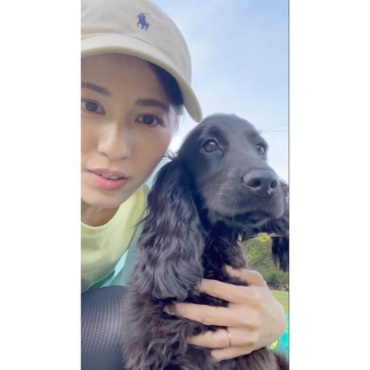 永島優美のインスタグラム：「* いっぱい走ってドロドロになりました🍃☀️  #GWの思い出 #englishcockerspaniel  #merci 🐾」