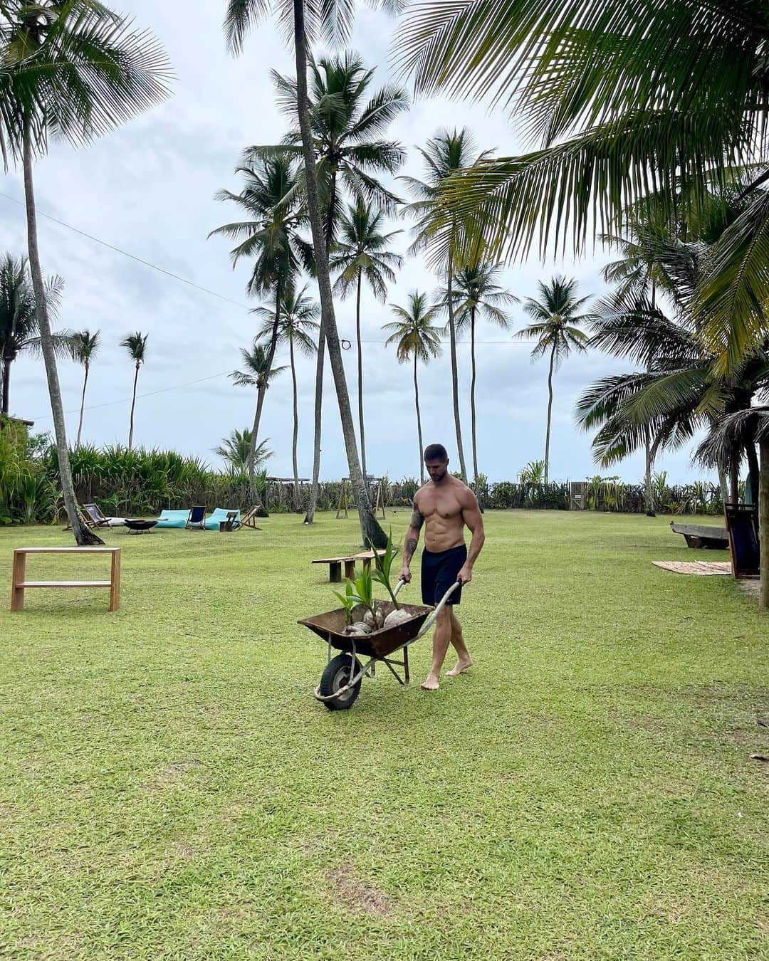 のインスタグラム：「Dia de plantar 🌴  @welovebeachhouse」