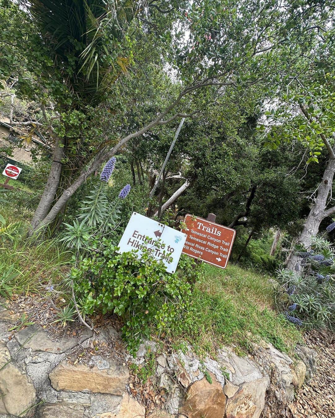 市原佑梨さんのインスタグラム写真 - (市原佑梨Instagram)「hiking🏃‍♀️⛰✨✨✨✨  🥵🤭  in LA🇺🇸」5月7日 22時20分 - yuri_ichihara