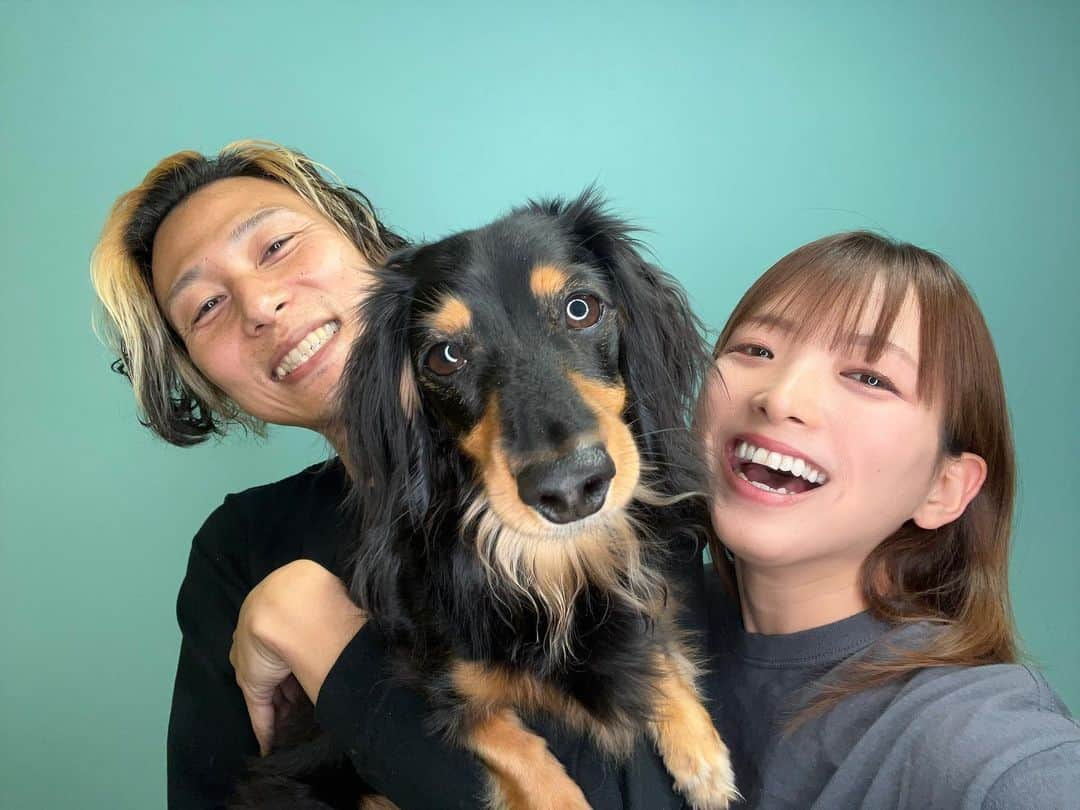 青木理奈さんのインスタグラム写真 - (青木理奈Instagram)「どんくん♡うちの子記念日♡5/7  うちに来てくれてありがとねー♡  最近実はどんくん体調を壊したことがあって。  それはそれは急なことで。 命の危険もあって。 本当にどうなるのかって怖かったし怖い思いをどんくんにさせてしまって。 根本の原因はまだはっきりしてません。 でもとても元気です。 (病院の先生からはあまり心配し過ぎずにってお話ししてもらってます。)  その後あまりにも心配していたら どんくんが不安そうで不安そうで それはまたごめんねって思って。  小さい頃からありがたいことに元気な子だったので本当に焦りました。あんなに大声でどんくんって呼んだのも初めてだったし、テンパって連絡する手がスマホを触れないくらい震えました。  偶然にも旅行に行くためにお休みにしてたのでじっくりその後様子をみたり一緒にいられました。 今後心配は少々ありますがもう大丈夫です。  いまでは大体のことはわかりあえる仲になってます。 割と一方通行ではなく。 どんくんがいない生活なんて 考えられないし、 我々が家族なのもどんくんがいるから。  出会ったあの日からは信じられないほどにおっきくなって天才になって(←親バカ) 本当にすごいねぇ♡ 成長ってすごいなぁ♡  これからも健康で幸せでいられるようにたくさん一緒に過ごそうね♡」5月7日 22時23分 - rin.427