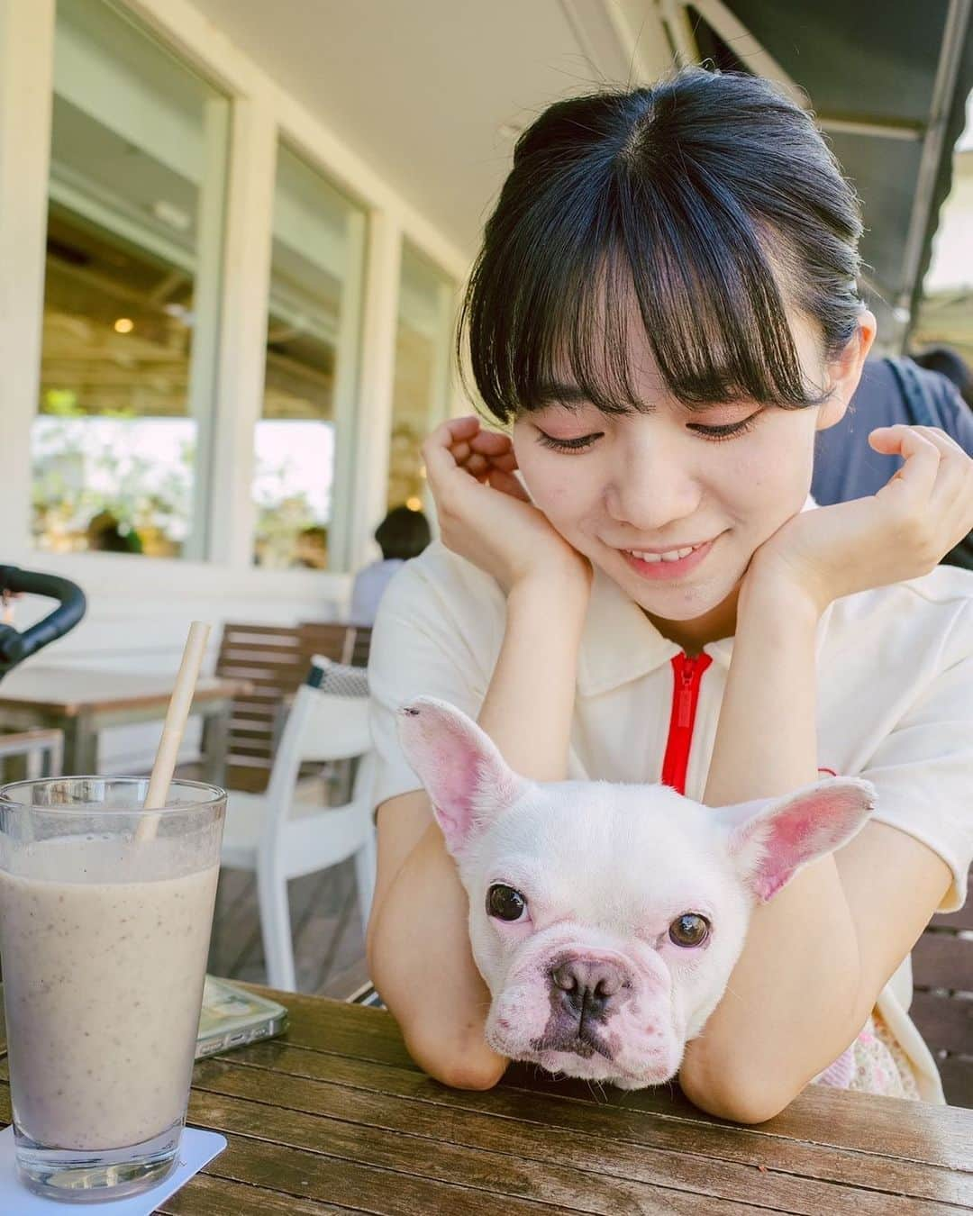 野村麻衣子のインスタグラム：「. フレンチブルちゃんは結構もちもちしてる.....この子は子犬の時から仲良くさせていただいています🐾  夏になると途端にSNSの更新張り切っちゃう🆙」