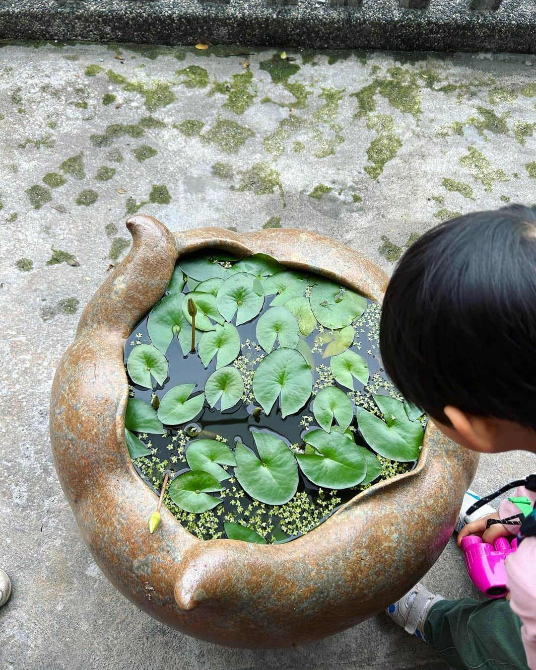 砂賀美希さんのインスタグラム写真 - (砂賀美希Instagram)「台湾旅行は今回4回目。 なかなか行けずにいた九份エリアへ。 千と千尋の神隠しのモデルと言われている有名な場所の近く、 賑やかな観光エリアから少し脇道に入った 海を一望できる水心月茶坊でゆっくり台湾のお茶をいただきました。  この日は曇り空でガスっていたけれど ドラゴンの通り道？ってくらいに天空に抜ける景色で たくさん深呼吸。  いただくお茶も淹れ方から丁寧で上質 甘味から深み渋みに変化していく過程も楽しめました。 あまりお茶を飲まない子供達も「甘い！」と喜んでました🍵  印象的だったのが お茶で漬けた茶梅、が昔おばあちゃん家でよく出てきたお茶請けの味がして 一気にあの頃のあの家にいるあの時のわたしに戻されたこと… すごいよね、記憶って。 日本から持ち込んだ食文化なのかな、もしかしたら。🤔📝  台北のガヤガヤした喧騒から少し離れて 家族でのんびり お絵描きしたり本を読んだり、景色を眺めてぼーっとしてみたり 何をするでないチルタイム。  子供がいなかった頃は予定も立てずに行き当たりばったりで 気に入ったところに長時間滞在することも多かったなぁ〜と 忘れてた時間の流れがここにはありました。 豊かさをどこに感じるのか、変化しますのね😌  とはいえここは静かにお茶を飲む場所。 実際は子供達をたしなめるのに手こずりましたが お茶の鮮度と景色に心癒される滞在でした。  PM1:30オープンが静かで狙い目📝 今度は1人で訪れよう🍵🤞  #台北観光 #千と千尋 #九份おすすめスポット #子連れ海外旅行 #子連れ台湾 #子連れ台北旅行 #おすすめ茶藝館 #水心月茶坊 #台北日帰り旅行 #茶梅 #今年やってみたいこと #お茶を楽しむ」5月7日 23時12分 - kimiganasu