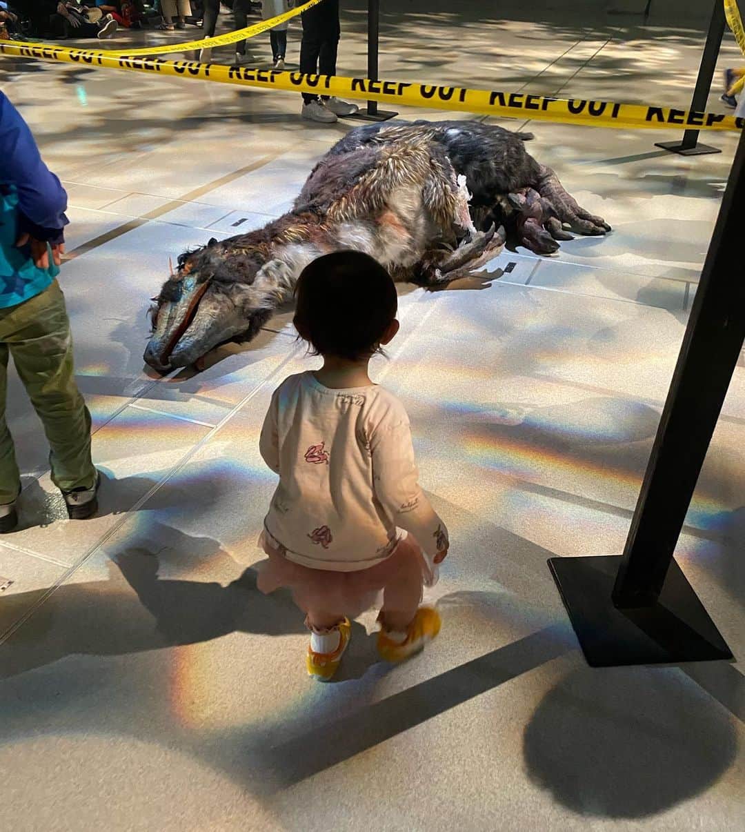 若林愛さんのインスタグラム写真 - (若林愛Instagram)「娘が恐竜の絵本読んでから恐竜大好きに🦖！ というわけでDINO A  LIVE DINO SAFARIへ行ってきました❣️ 迫力満点！！娘はちょっぴり怖がりつつもすごく楽しかったようでこの日から毎日恐竜見たねぇって口癖のように言ってる🦕笑 大好きな恐竜に会えて良かったね☺️✨ 好きを追いかける気持ち、大切にしてあげたい🥰 . #dinoalive #dinosafari #恐竜ライブ #ディノアライブ #渋谷ヒカリエ #絵本育児 #恐竜絵本」5月7日 23時24分 - megumi.cl