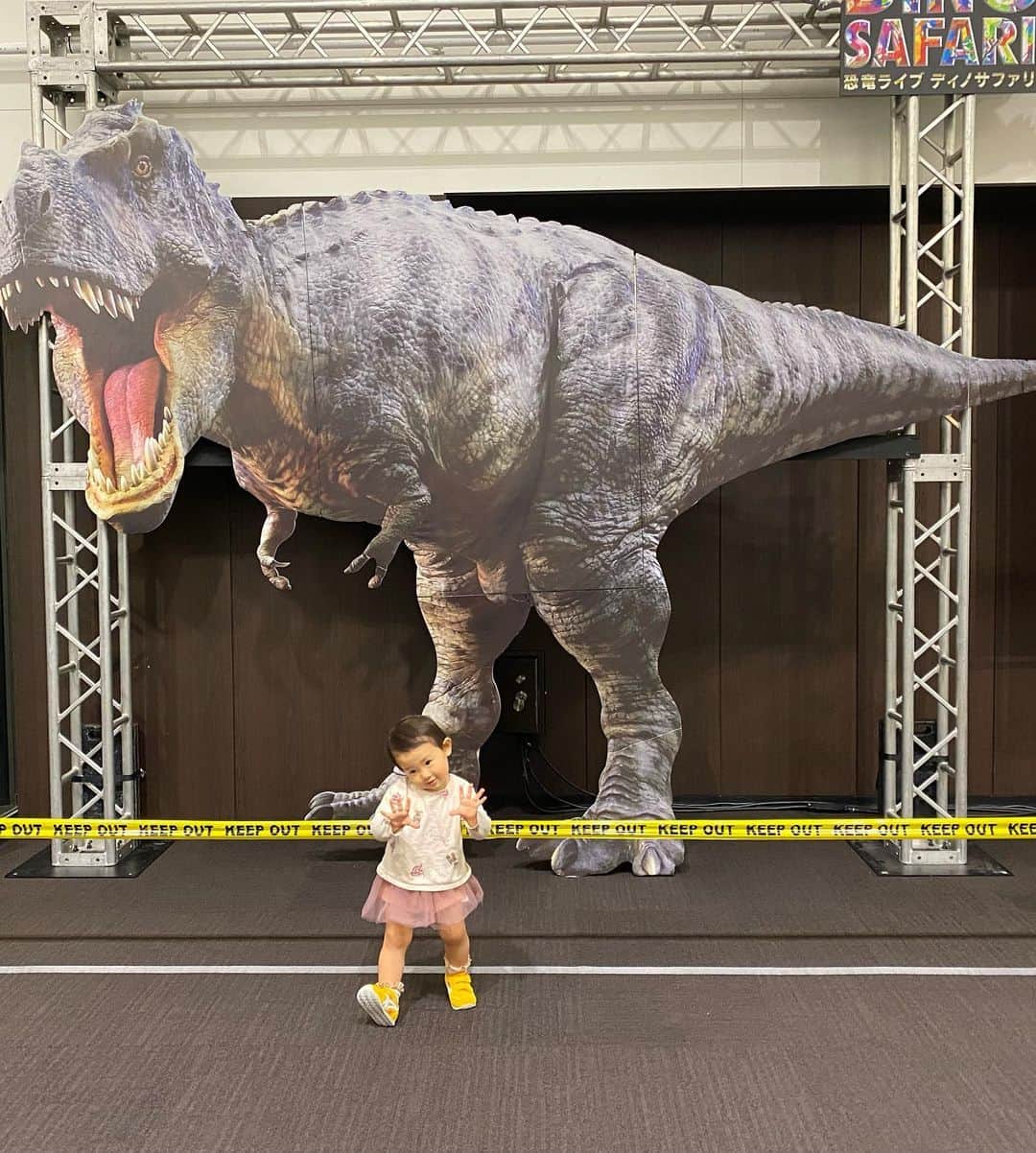 若林愛さんのインスタグラム写真 - (若林愛Instagram)「娘が恐竜の絵本読んでから恐竜大好きに🦖！ というわけでDINO A  LIVE DINO SAFARIへ行ってきました❣️ 迫力満点！！娘はちょっぴり怖がりつつもすごく楽しかったようでこの日から毎日恐竜見たねぇって口癖のように言ってる🦕笑 大好きな恐竜に会えて良かったね☺️✨ 好きを追いかける気持ち、大切にしてあげたい🥰 . #dinoalive #dinosafari #恐竜ライブ #ディノアライブ #渋谷ヒカリエ #絵本育児 #恐竜絵本」5月7日 23時24分 - megumi.cl
