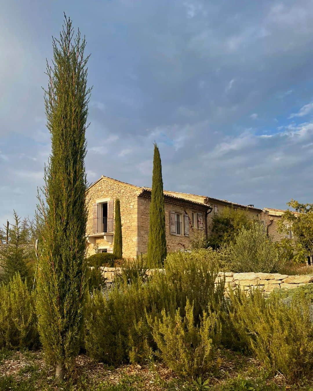 ロクシタンのインスタグラム：「Have you ever noticed cypress trees at the entrance of properties in Provence? ⁣ They are an open invitation for passers-by and travelers!⁣ ⁣ 🌳 The first tree greets travelers and invites them for a drink.⁣ ⁣ 🌳🌳 The second cypress tree is a sign that they’re welcome for a drink and a meal. ⁣ ⁣ 🌳🌳🌳 The third one means they can stop by for a drink, a meal and a bed for good night’s rest.⁣ ⁣ ⁣ #Provence #PoscardFromProvence #Cypress #Tradition ⁣」