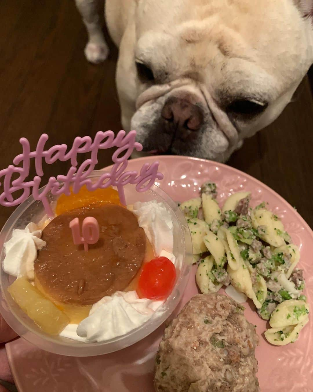 西田麻衣のインスタグラム：「5月7日🐷✨ ぴぎしゃん10歳🐽 おめでとう🤍 親友と愛犬の誕生日が同じな奇跡  #出来ることなら私の寿命を分けてあげたい #長生きしてね」