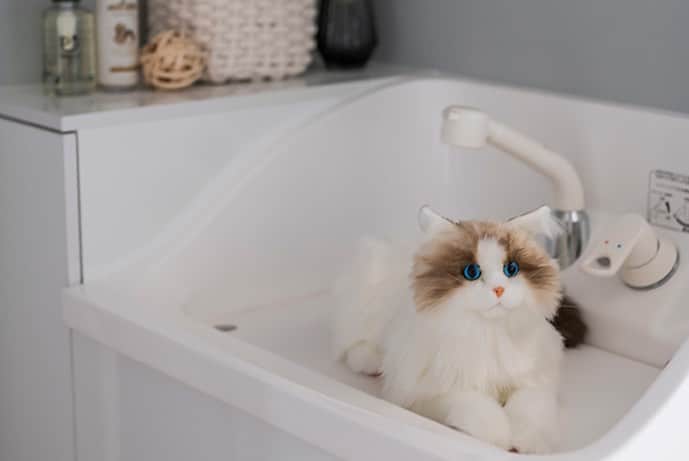 大和ハウス工業さんのインスタグラム写真 - (大和ハウス工業Instagram)「3階建ての「店舗・賃貸併用住宅」～平沼skye展示場（横浜）をご紹介します。  ・1階店舗部分はおしゃれな「猫cafe」 です。 大和ハウスオリジナルの猫用自動洗浄トイレ「ネコレット」 も展示しております。テナントスペースとしても活用できます♪  ・2階は隅々まで光を導く2層吹き抜けとなっております。広がりも明るさも想像以上の「エアリビング」やシックな色合いでかっこいい雰囲気のダイニング・キッチン。そして寝室のほかにやシャワー室・サウナ室もあります。  ・3階は賃貸部分です。  店舗併用住宅・医院併用住宅・賃貸併用住宅・二世帯住宅の専門スタッフも在籍しており、ご興味のある方は、ぜひご相談してみてください♪  ◆平沼skye展示場 https://www.daiwahouse.co.jp/jutaku/tenji/tenji.html?cd=1227   ーーーーー 平沼skye展示場では　 5/13㈯・14㈰ 猫カフェ「猫ちゃんといっしょ」よりかわいい猫ちゃん達をお迎えして 「猫café」イベントを開催いたします！ 猫ちゃんとおいしいドリンク☕で癒しのひと時をお楽しみください！ ご参加の方に猫グッズプレゼント♪（参加無料） 詳細はこちら↓ https://www.daiwahouse.co.jp/eventHP/detail/index.asp?event_id=132142 ーーーーーー  #大和ハウス #ダイワハウス #平沼skye展示場（横浜） #ｓｋｙｅ３ #鉄骨 #3階建て #賃貸併用住宅 #マイホーム #注文住宅 #家づくり #家づくりアイデア #こだわりの家 #空間デザイン #住宅デザイン #暮らしを楽しむ家づくり #インテリア #大開口 #多世帯住宅 #ペットとの暮らし #併用住宅」5月8日 11時57分 - daiwahouse_official