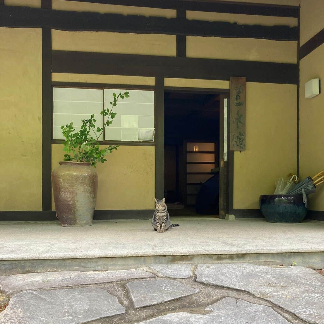 阿部春弥さんのインスタグラム写真 - (阿部春弥Instagram)「・ 三水館さん　@sansuikan での個展が終了しました。 お越しくださった皆さま、ありがとうございました！ ・ #三水館#上田市#鹿教湯温泉」5月8日 12時10分 - abe_haruya