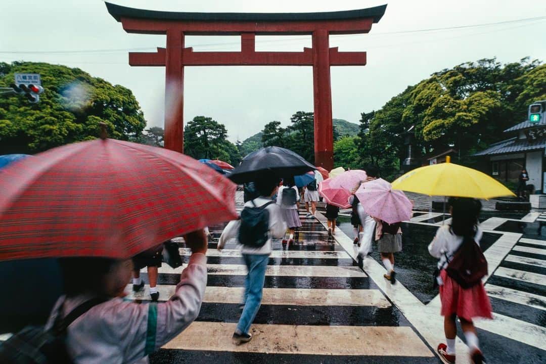 Michael Yamashitaさんのインスタグラム写真 - (Michael YamashitaInstagram)「Rainy days in Japan: have I mentioned it rains a lot here?」5月8日 7時38分 - yamashitaphoto