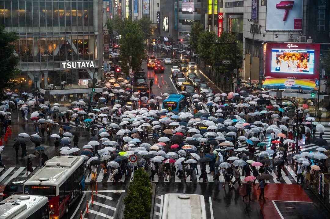 Michael Yamashitaのインスタグラム：「Rainy days in Japan: have I mentioned it rains a lot here?」