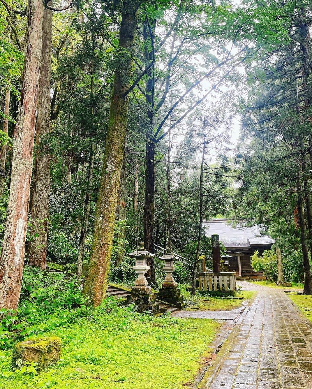 斉藤ひかりさんのインスタグラム写真 - (斉藤ひかりInstagram)「おはようございます𓂃𖠚ᐝ 帰省中、加茂山公園にて🐿 一昨日から全国的に雨ですが、雨の日の艶やかな緑は晴天の時とまた違った魅力があって素敵ですよね。  昨日無事に東京へ戻ってきて… 今日から舞台「太陽のあたる場所」の稽古が始まります！  連休明けの方は無理せず ゆるゆる頑張りましょう〜☺️」5月8日 8時08分 - hikarisaito1027