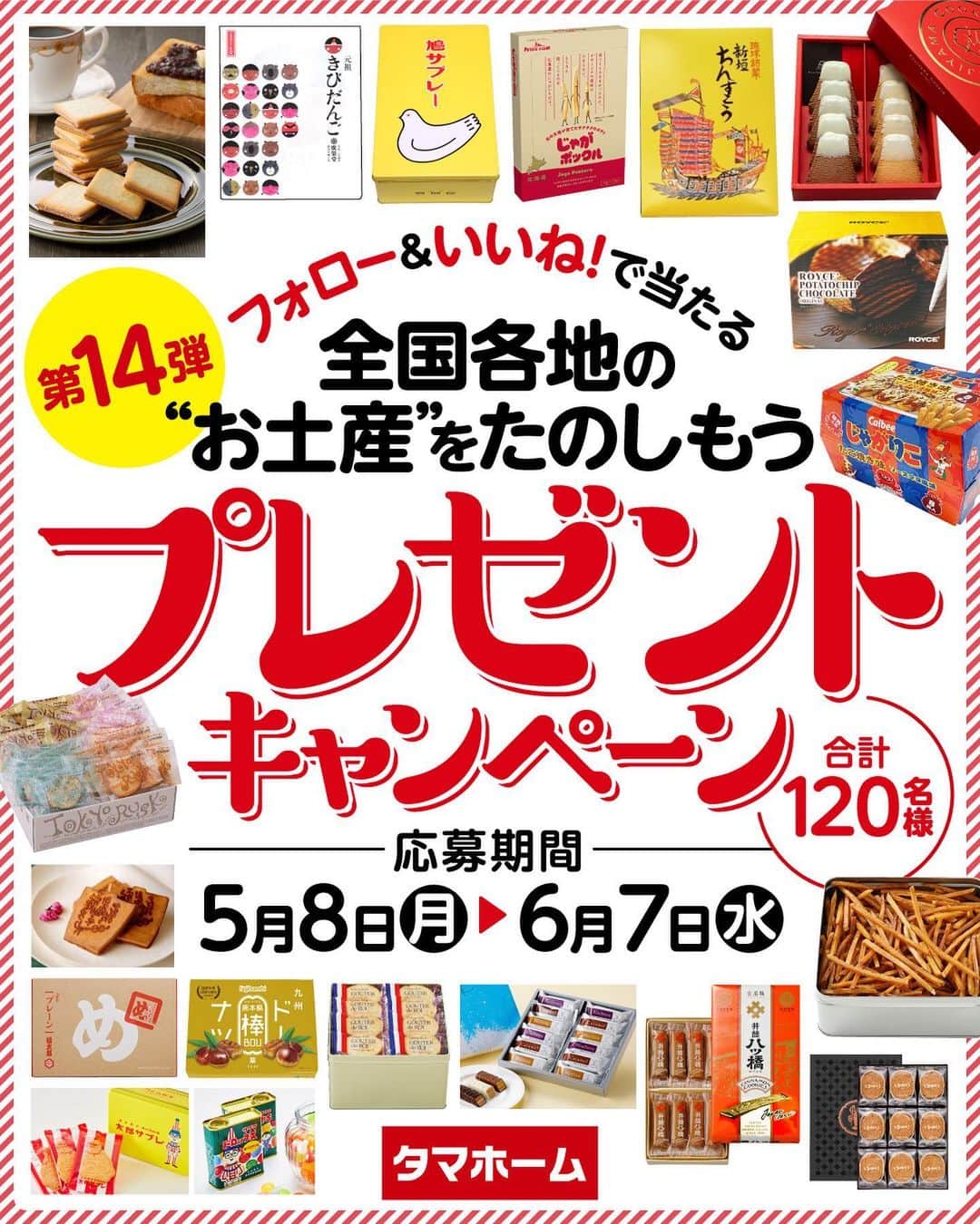 タマホーム株式会社のインスタグラム：「☆プレゼントキャンペーン 第１４弾★  ✨✨✨✨✨✨✨✨ お家でご家族一緒に！　職場のお仲間と！！ 全国各地の「お土産 銘菓」をたのしもう！！！ ✨✨✨✨✨✨✨✨  合計１２０名様に、日本全国から選りすぐりのお土産が当たる！ 応募は『フォロー＆いいね！』の簡単２ステップ！ ぜひ、ご応募ください！  ※お知らせ※ タマホームの公式アカウントは@tamahome_officialのみです。当選のご連絡は、アカウントにインスタグラム公式マーク（青いチェックマーク）が入った当アカウントから、直接DMにてお送りさせて頂きます。  当アカウントになりすました偽アカウントによる虚偽の当選連絡やフォロー等にご注意ください。@tamahome_official以外からのDM等の連絡に対し、返信・URLのクリック等は絶対にしないようにお願い申し上げます。 【本キャンペーンの当選連絡の際に、クレジットカード番号・口座番号・暗証番号をお尋ねする事は一切ございません。】 ご注意頂きますよう、何卒よろしくお願い申し上げます。  ⁻ ■応募方法 ①@tamahome_official 公式アカウントをフォロー ②このキャンペーン告知投稿に「いいね」  ■応募期間 ２０２３年５月８日㈪９:００ ～ ２０２３年６月７日㈬ ２３:５９  ■プレゼント賞品 A賞【40名様】　全国各地のお土産6品セット B賞【40名様】　全国各地のお土産7品セット C賞【40名様】　全国各地のお土産6品セット  ■当選発表 ご応募いただいた方の中から抽選を行わせていただきます。 当選された方には２０２３年７月上旬にInstagramのDMにてご連絡いたします。  ■キャンペーン規約 本規約は、タマホーム株式会社（以下「当社」）が実施する第１４弾フォロー＆いいね！キャンペーン（以下「本企画」）に参加されるお客様（以下「お客様」）にご注意いただきたい内容が記載されています。この規約をご確認、ご同意を頂いたうえで本企画にご参加いただきますよう、お願い致します。本規約にご同意頂けない場合は本企画に応募することはできません。  本規約は２０２３年５月８日㈪９:００から適用されます。  ■注意事項 ※賞品の発送は日本国内に限らせていただきます。 ※当選発表は当選者へのInstagramのDMをもってかえさせていただきます。 ※賞品の発送は２０２３年８月上旬を予定しております。 ※賞品のパッケージデザインは変更となる場合があります。 ※賞品にはアレルギーの原因といわれる原材料を含んでいる商品がございます。 ※@tamahome_official公式アカウントを必ずフォローしていただきますようお願いいたします。 ※当選通知受信後、指定の期限までに、賞品お届け先等の必要事項を指定方法でご連絡ください。 ※プロフィールを非公開設定にされている方、@tamahome_official公式アカウントをフォローされていない方は、応募対象外になりますのでご注意ください。 ※本キャンペーンへの応募後に公式アカウントのフォローを解除した場合は、選考対象外となる場合がございますので、ご注意ください。 ※本キャンペーンの当選は１アカウントに付き１回とし、同一世帯での複数当選は不可となります。 ※本企画はMeta社（旧Facebook社）の協賛によるものではありません。 ※当選賞品をオークションサイトやフリマアプリなど販売サイトへの出品はお控えください。出品が確認された場合は、通知なく当社全てのキャンペーンの当選対象から除外する場合がございます。 ※本キャンペーンのご応募に関する要項及び事務局への運営方法について、一切の異議はお受けいたしかねます。 ※応募受付の確認・抽選方法・当選・落選等についてのご質問、お問い合わせは受け付けておりません。⁠ ※状況により、プレゼントの発送が遅れる可能性がございます。予めご了承ください。  ■個人情報の取扱い 本企画でお客様よりいただいた個人情報は、本企画の実施の目的以外では利用いたしません。  #タマホーム #ご当地 #お土産 #お菓子 #名産品 #名物 #キャンペーン #プレゼントキャンペーン #プレゼント企画 #キャンペーン企画 #プレゼント企画実施中 #キャンペーン実施中 #マイホーム計画 #家づくりのヒント」
