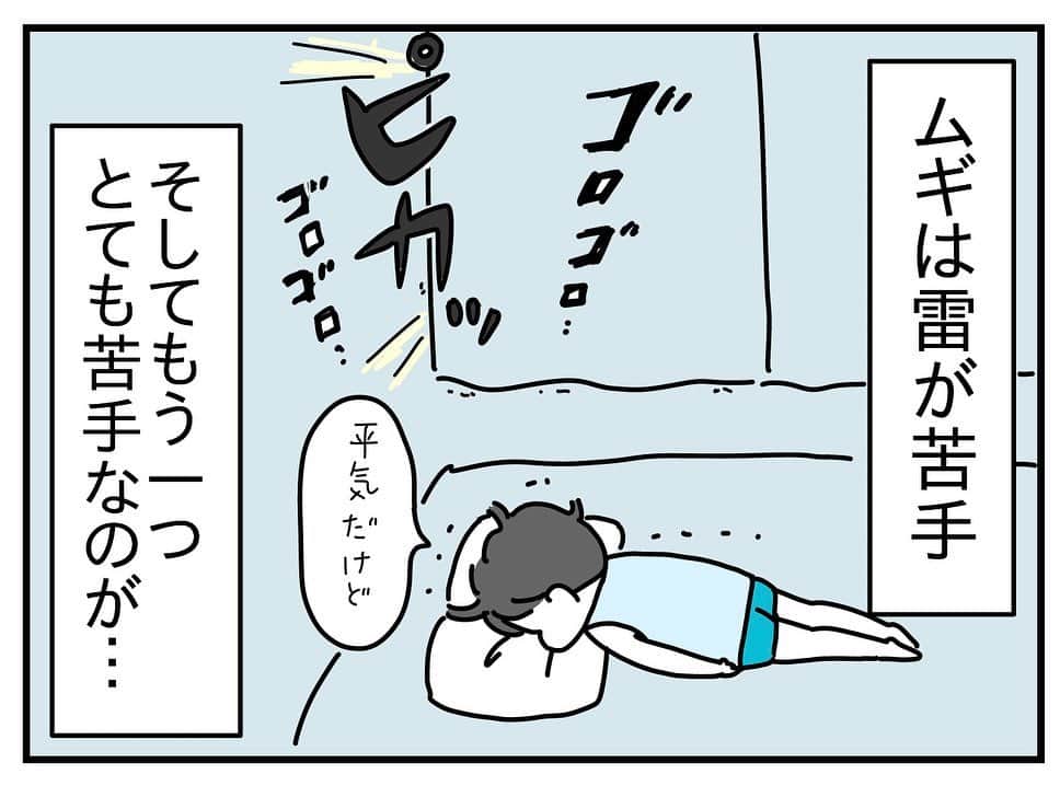 つんのインスタグラム：「ムギの苦手なもの   #お猿  #雷  #おさるのジョージを猿と認めない息子  🌳ストーリーにう○ち焼きの話と猿が苦手なムギの話🐒」