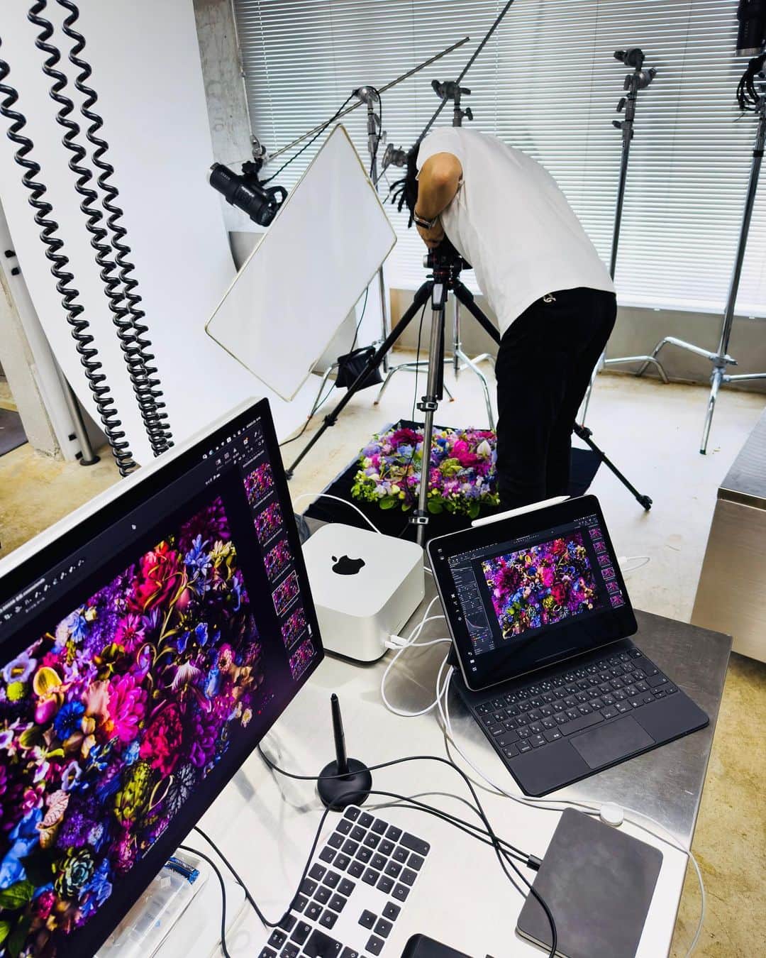 椎木俊介のインスタグラム：「shooting today #azumamakoto #makotoazuma #shiinokishunsuke #amkkproject #amkk  #flowers #東信 #東信花樹研究所 #macstudio #ipadpro」