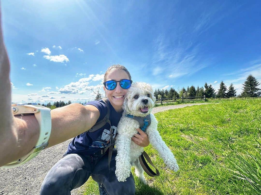 マリッサ・キャステリのインスタグラム：「Another solo hike with Mosby」