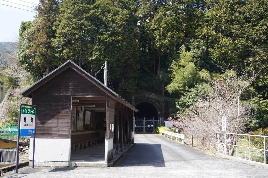 伊藤桃さんのインスタグラム写真 - (伊藤桃Instagram)「【#錦川鉄道 #錦町駅 】 時刻はお昼どき…お腹がすきますよねえ、という事で… 2枚目: ホームからも入ることができるカレー屋さんがあるんです！！ その名も｢ぱどる｣さん。 1枚目: お野菜たっぷり！スパイシーな手作りカレーがたまらない… めちゃくちゃ美味しかった！ サラダとスープつきで900円でした。 3枚目: 中には楽器がたくさん。 趣味でバンドをされているそう。 ちなみに帰り道、お昼営業後のお店をのぞいたらお仲間とセッションしてました☺️ * 4枚目: ちなみに、鉄道資料館もあるそうですがこの日はお休みでした。ざんねん😭 * さて駅周辺といえば… 5枚目: #とことこトレイン ！！ 錦町駅から6kmほど…未成線をいくトロッコ遊覧車です。 残念ながら訪れた時はまだ営業が始まっていませんでしたが…現在は土日祝に走っているそう‼️ * 6枚目: 揺れる菜の花の先にある車止めにほっこりしつつ… 7枚目: そのとことこトレインの駅だけは見ることができました。 8.9枚目: わーみるだけでワクワクする！ 絶対今度のりにきたい！ * 再訪したいのは他にも理由があります… 10枚目: さてはてそのお話は次の投稿で☺️🫶 #錦川 #錦川清流線 #錦町グルメ #錦町 #女ひとり旅 #終着駅」5月8日 18時00分 - itomomo_tetsu