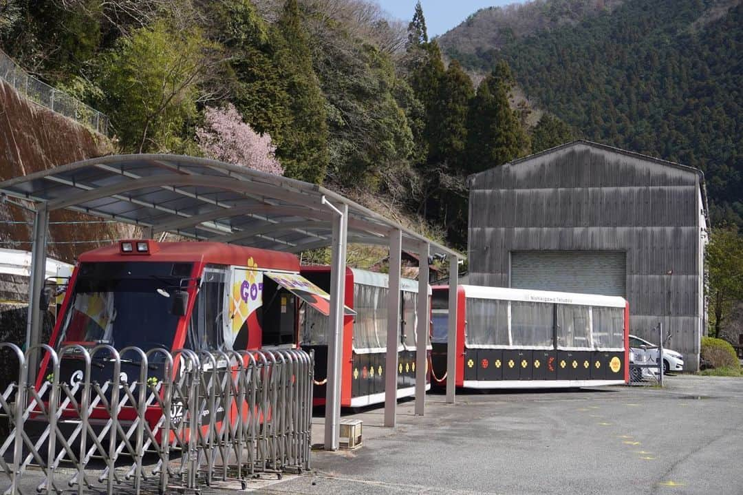 伊藤桃さんのインスタグラム写真 - (伊藤桃Instagram)「【#錦川鉄道 #錦町駅 】 時刻はお昼どき…お腹がすきますよねえ、という事で… 2枚目: ホームからも入ることができるカレー屋さんがあるんです！！ その名も｢ぱどる｣さん。 1枚目: お野菜たっぷり！スパイシーな手作りカレーがたまらない… めちゃくちゃ美味しかった！ サラダとスープつきで900円でした。 3枚目: 中には楽器がたくさん。 趣味でバンドをされているそう。 ちなみに帰り道、お昼営業後のお店をのぞいたらお仲間とセッションしてました☺️ * 4枚目: ちなみに、鉄道資料館もあるそうですがこの日はお休みでした。ざんねん😭 * さて駅周辺といえば… 5枚目: #とことこトレイン ！！ 錦町駅から6kmほど…未成線をいくトロッコ遊覧車です。 残念ながら訪れた時はまだ営業が始まっていませんでしたが…現在は土日祝に走っているそう‼️ * 6枚目: 揺れる菜の花の先にある車止めにほっこりしつつ… 7枚目: そのとことこトレインの駅だけは見ることができました。 8.9枚目: わーみるだけでワクワクする！ 絶対今度のりにきたい！ * 再訪したいのは他にも理由があります… 10枚目: さてはてそのお話は次の投稿で☺️🫶 #錦川 #錦川清流線 #錦町グルメ #錦町 #女ひとり旅 #終着駅」5月8日 18時00分 - itomomo_tetsu