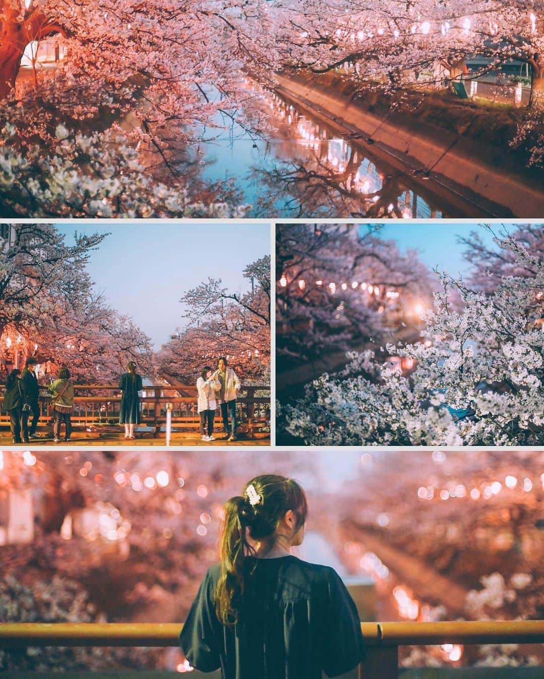 yukiのインスタグラム：「#福島江 #福島江の桜 #桜#新潟桜スポット  ・ 『桜咲く季節に…』 The scenery we have seen Another story  ・ ・ __________________________ 日々の撮影記事やコラム更新中！ ・・・・・・・・・・・・・・・ ◉FAN限定サイト◉ https://www.fansnet.jp/sty830 __________________________  #instagram #instagramjapan #bestjapanpics #wonderful_places #hello_worldpics #earthfocus #earthofficial #beautifuldestinations #fantastic_earth #travelanddestinations  #awesomepix #visualambassadors #earthpix #visitjapanjp #travelingthroughtheworld #artofvisuals #bestplacestogo #discoverer #welivetoexplore #tokyocameraclub」