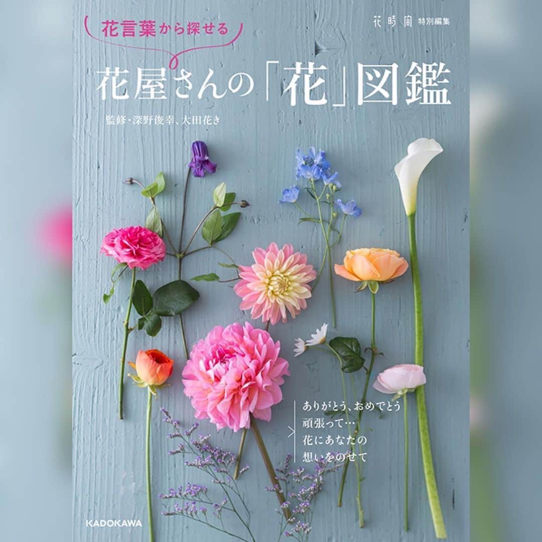 雑誌『花時間』さんのインスタグラム写真 - (雑誌『花時間』Instagram)「お祝いにぴったりな名前をもつ花って、思いつきますか？  花時間（@hanajikan_magazine）です。  品種名も含めると、たくさんありそうですが、いまの時期に出回る、めでたい花名、ナンバーワンは「タイツリソウ」。  タイ＝鯛。  釣竿に釣り上げられた鯛のごとく、茎にぷるぷるとぶら下がって咲きます。  別名のタイツリソウのほうがよく知られていそうですが、本名は「ケマンソウ」。  漢字では華鬘草。お寺のお堂を飾る装飾品、華鬘に見立てた名前なんだそうです。  タイツリソウには、白いお花のほか、ピンクもあり、こっちの方がめでたさ増し増し！  見つけたら、飾ってみませんか？  では、本日もお疲れさまでした。明日も元気smile😊😊😊で頑張りましょう！ byピーターパン  【花時間ニュース】 💜『花時間』から、花の定期便がスタートしました🥰　世界でここだけのバラと旬花が届く嬉しいサービスです💕  💜『花時間2023秋冬』〈春夏秋冬。季節のリース〉大好評発売中！  💜2023年『花時間』カレンダー絶賛発売中！  💜『花と短歌でめぐる 二十四節気 花のこよみ』大好評発売中  すべて @hanajikan_magazine のプロフィールのリンクから飛べます✈️  『花時間』本誌や書籍は全国の書店、ネット書店でも発売中✨  #花時間 #ケマンソウ #タイツリソウ #かわいい花 #フラワーアレンジ #花が好き #花が好きな人と繋がりたい #花を飾る #花を飾る生活 #花屋さんへ行こう」4月14日 19時13分 - hanajikan_magazine