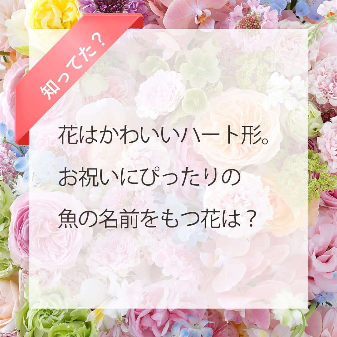 雑誌『花時間』のインスタグラム