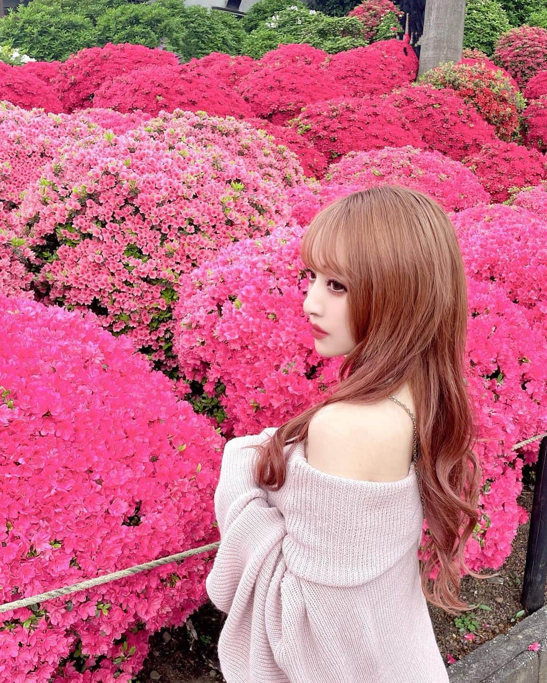 桜井莉菜さんのインスタグラム写真 - (桜井莉菜Instagram)「根津神社に行ってきました🌸 やっぱりお花に囲まれるとテンション上がりますね😍❣️ 桜も綺麗だったけど、ツツジも可愛過ぎる🫣💓 濃いピンクも薄いピンクもミックスされてるのもあって、一面ピンク祭り🤣❣️ これはどこで撮っても可愛過ぎる映え過ぎる💕 インスタをやってると、やっぱりせっかくなら映えるところで写真撮ってそれを載せたいなって思うので、色んな可愛いところに行ったけど、それって全部が良い思い出になるし、自分のアルバムになるから見返しても色々思い出せるし、インスタってやってて良かったなって思える😌✨ 人生の記録だよね🌸 40歳になって、何が変わったかって言われると別に大きく変わった事はないけど、変えたいなと思ってる事はたくさんある。 色んなものに挑戦したいなと思う反面、断捨離もしてかないとな時期なのかなとか。 分岐点な気がして🧸 私は親以外家族は居ないので、 自分が幸せにならなきゃ両親も幸せに出来ないので、良い人生にしないとな、と思う。 とはいえ、年は関係なく事故や病気で急にこの世を去ってしまう可能性は全然有り得る事なので、とにかく悔いのない今日を送らなきゃ損だよね。 生きてる限りは楽しく過ごしたい。 アレしときゃ良かったって悔いるのは嫌だもん。 人のSNSだけを見てると、自分が辛い時、私以外のみんなはキラキラしてていいな、私だけ辛いのかなって思ってしまうかもだけど、みんなSNSには良いところだけを載せてるもんなんだから、それぞれ悩みや辛い時もある事を忘れないでいないと。 私もよく、毎日良いもの、美味しいもの食べてるんでしょって言われるけど、良い所に行った時だけ写真撮って載せてるだけで、家でウーバーとかカップラーメンも食べるけどそれを載せてないだけだよ🙌 それぞれ悩みや悲しい事辛い事乗り越えて生きてる！ どん底からは、後は上がるしかないから✨ 毎日みんなが少しでも笑って過ごせますように😌💗 40歳これから楽しんでくよー❣️❣️❣️  #根津神社#つつじ#根津神社つつじ祭り#パワースポット」4月14日 19時42分 - rina__sakurai