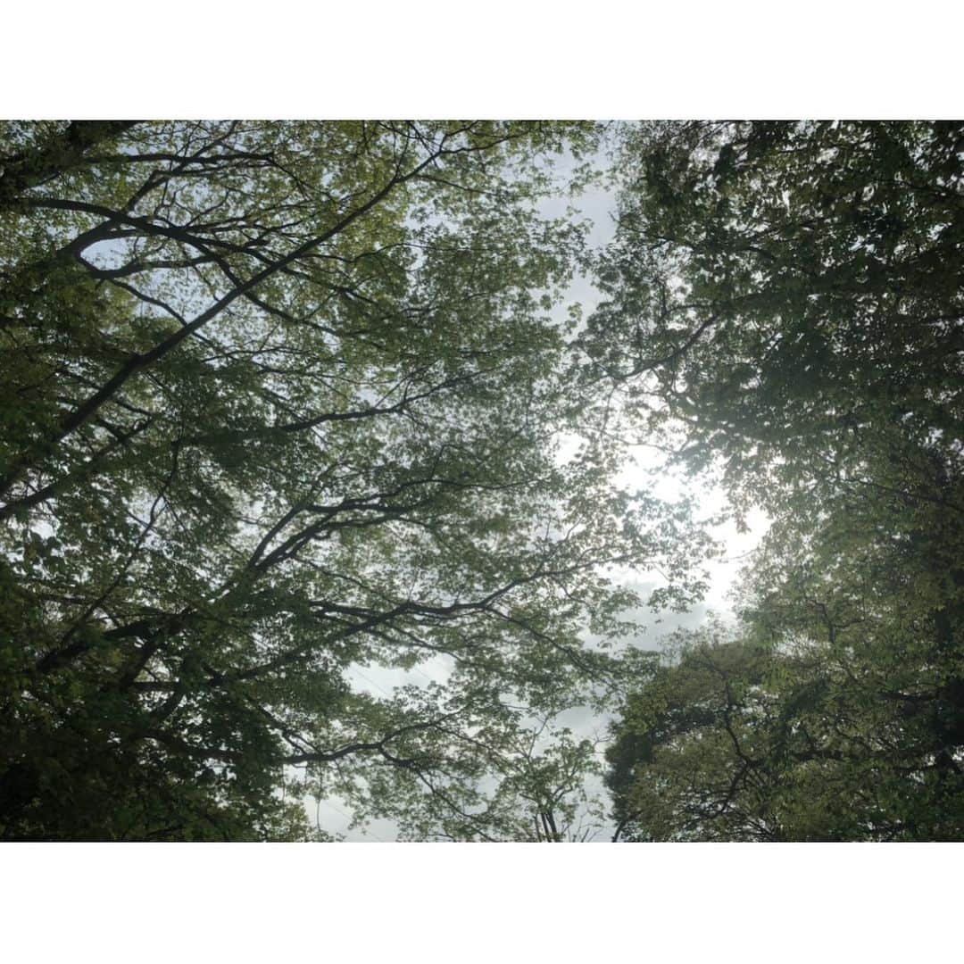 井山三希子さんのインスタグラム写真 - (井山三希子Instagram)「・ Fujino Art Days 明日からです 一足先に搬入を終えて明日設営 お待ちしています！ #fujinoartdays2023」4月14日 19時57分 - nikoyagi