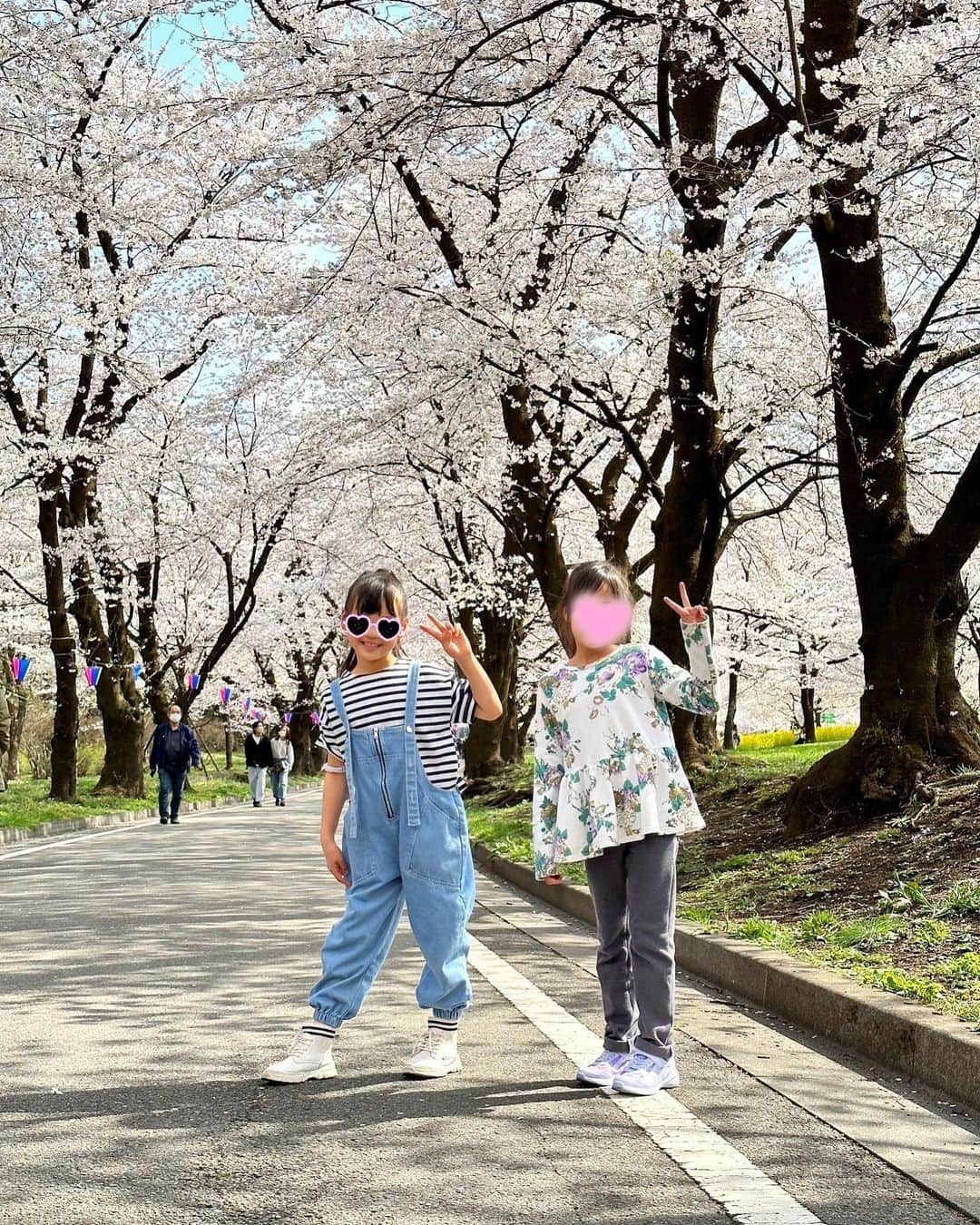 中村明花さんのインスタグラム写真 - (中村明花Instagram)「. 瞳 @hasebe_hitomi が数日群馬に遊びに来てくれたので色んな所に行ってきました♪ . まずは、ちょうど桜が満開だった #赤城南面千本桜 へ🌸 『日本のさくら名所100選』にも選ばれた群馬県を代表する桜の名所です☺︎ . 群馬は素敵な桜スポットが沢山あるので、ここは私も初めて！！ 桜と菜の花と芝桜が一気に見れるなんて贅沢〜！！！ いやぁ、綺麗だったな☺️ . 年々桜が好きになるね。と、年齢を感じるトークをしながら(笑) 綺麗な花々に癒されてきました( ´∀｀)🌸🌼 . 帰りは、道の駅（ #赤城の恵 ）に温泉（ #あいのやまの湯 ）に公園までついている #荻窪公園 へ。 . 子供たちを遊ばせて、道の駅で神津牧場のソフトクリーム食べて🍦のんびりしました♡ . . #群馬観光  #群馬遊び #群馬生活」4月14日 20時09分 - sayaka_nakamura3