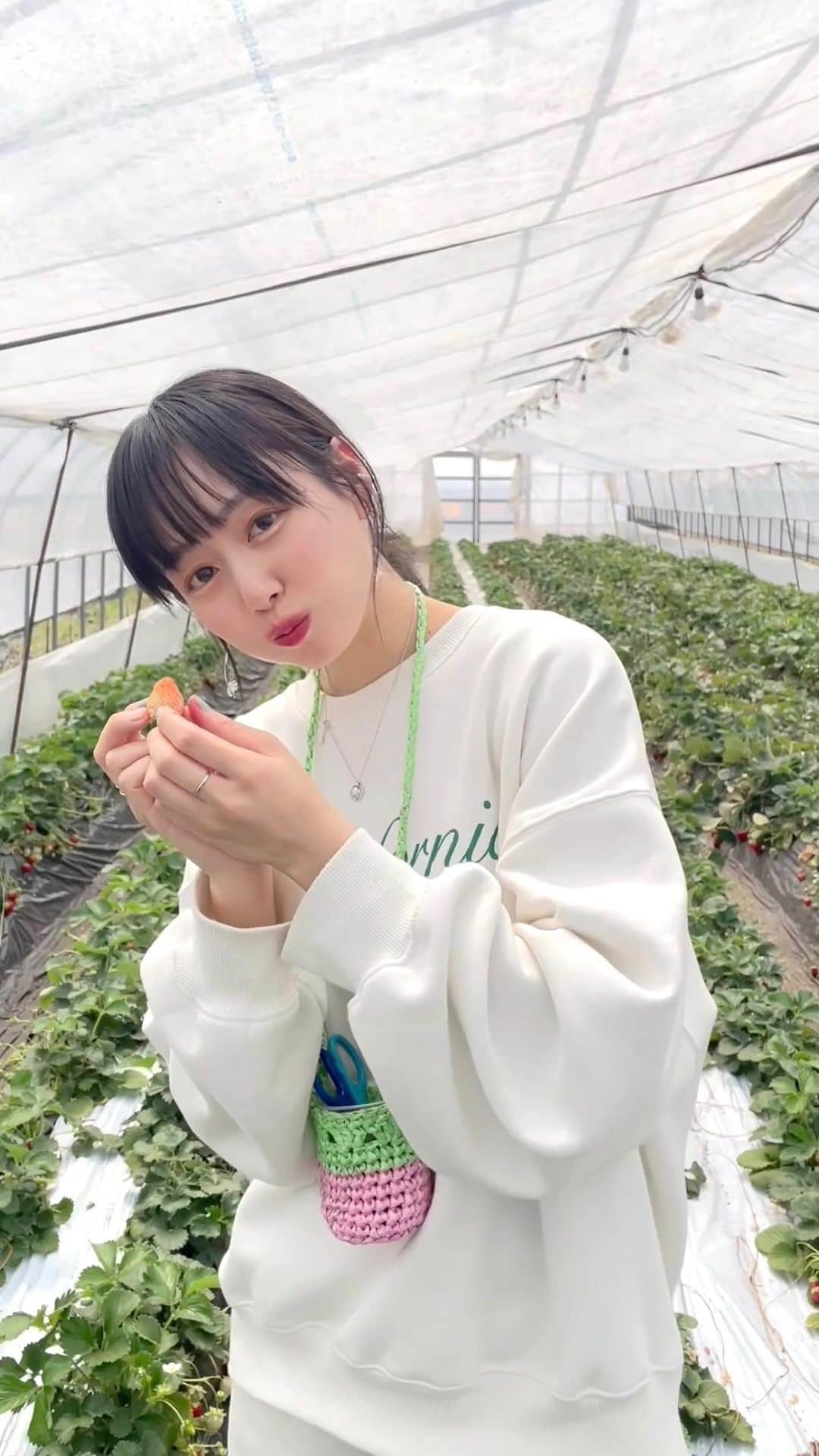 寺田真珠のインスタグラム