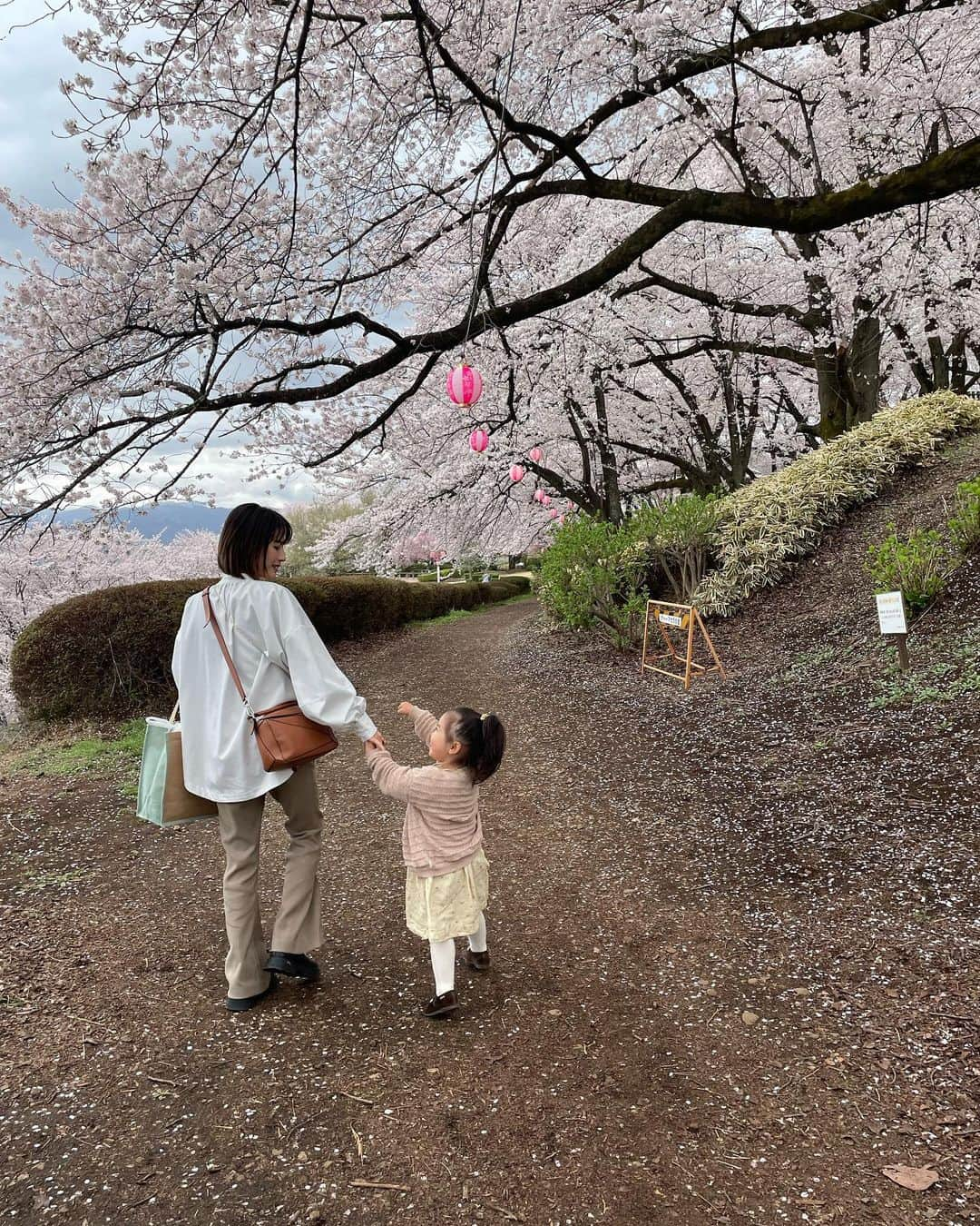 立澤香奈のインスタグラム：「もう散ってしまったけど…🌸 今年は地元の桜を見にいけた☺️ まだ桃の花は満開とはいかなかったけど、、、 とっても綺麗だった☺️  #お花見#桜#桜スポット」