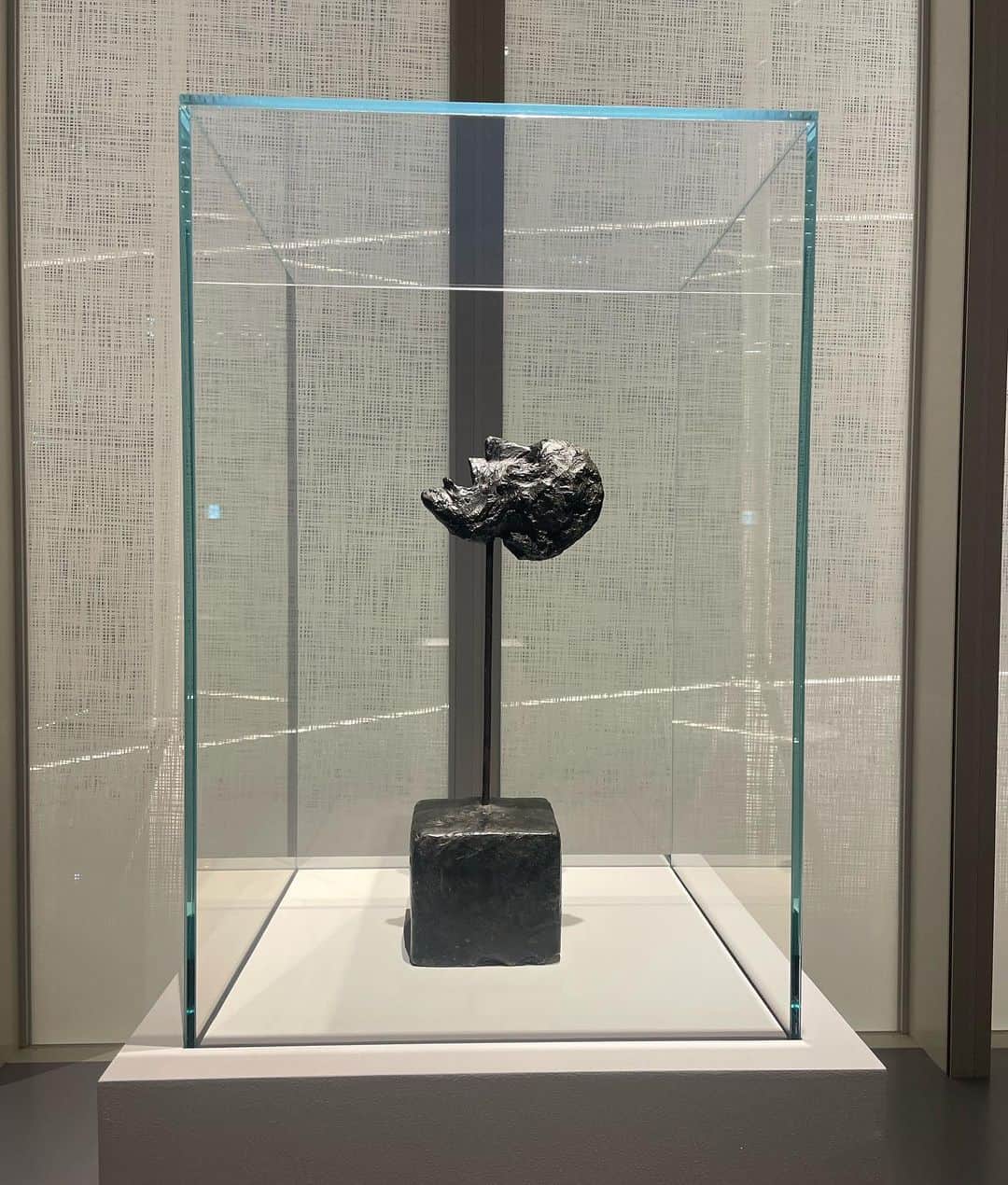 岡田蓮さんのインスタグラム写真 - (岡田蓮Instagram)「▪️FONDATION LOUIS VUITTON  「エスパス ルイ・ヴィトン 大阪」で開催されている FONDATION LOUIS VUITTON主催の「アルベルト・ジャコメッティ」展に行ってきました。  ジャコメッティ氏が「見える通りに」「見たものを見えたように描く」と針金のように極端に細く、長く引き伸ばされた人物ができ、実際実物を見て大きさやとても細いのに迫力があり驚きました。  ジャコメッティ氏のこれまでのストーリーのお話も聞くことができ貴重な経験になりました。  6月25日(日)まで開催中なので是非足を運んでみてください。  @louisvuitton  @ellegirl_jp  #louisvuitton #ルイヴィトン #ジャコメッティ展 #エスパスルイヴィトン大阪 #collectionflv #ellepromotion」4月14日 20時18分 - ren.479