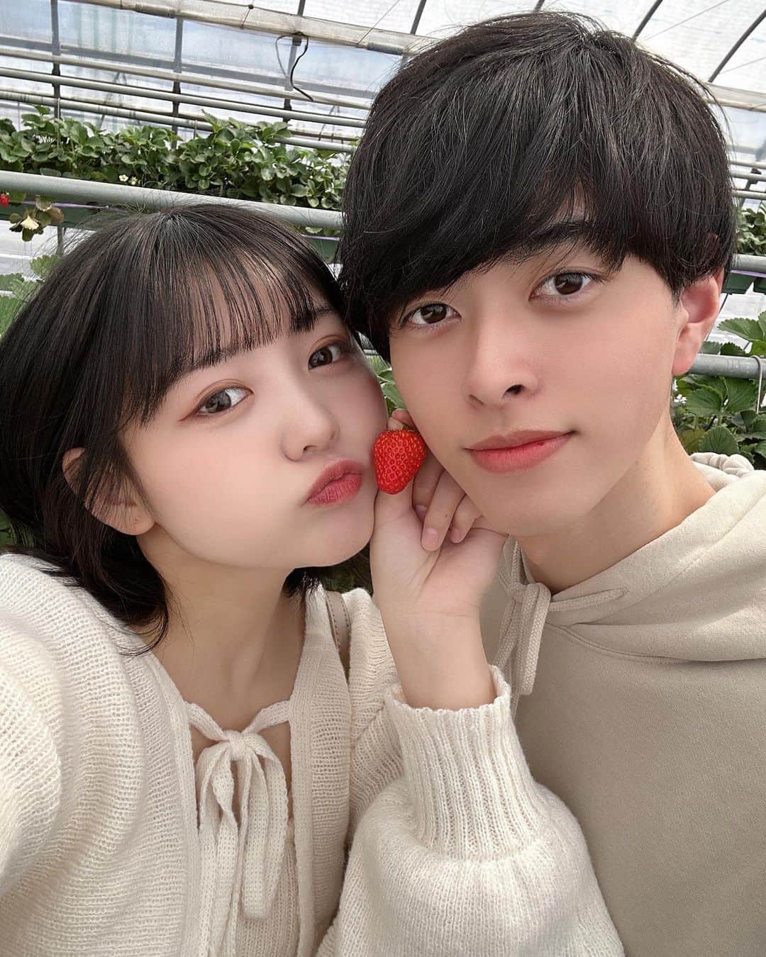 みさねのインスタグラム：「この前のいちご狩りの時の🍓 ㅤ 去年一緒にいちご狩りに行ってからもう1年経ったのか〜って感じ🫣 ㅤ 思えばあっという間の1年だったな...🥔 ㅤ 去年と同じところに行ってきたよ❣️ ㅤ いっぱい食べた！今年も美味しかった〜！！ ㅤ トップス @grl_official  ㅤ #いちご狩り #川口 #デートスポット #デート #デートコーデ #grl購入品 #grl #グレイル #グレイル購入品 #カップルフォト #カップル #カップルコーデ #プチプラコーデ #春コーデ #淡色コーデ #淡い民 #シミラールック」