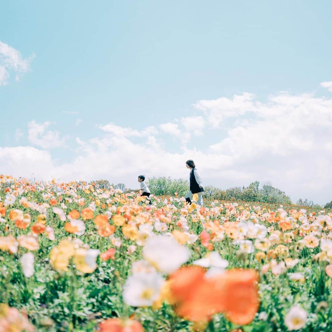 sorayuchiのインスタグラム：「・ 君を追いかけている時間。  時々一人になって色々したくて、でも君が視界からいなくなると、とても心配で、今しかない時間と思ってイヤイヤ期もなんとか楽しめています(*´꒳`*)  #igersjp #igersoftheday #huntgramjapan #tokyocameraclub #東京カメラ部　#japan #日本　#関西　#兵庫　#hyogo #神戸　#写真好きな人と繋がりたい　#カメラ好きな人と繋がりたい　#写真撮ってる人と繋がりたい　#instagram #instagramjapan #fujifilm #gfx50r  #富士フィルム　 #フジフィルム　#ママカメラ　#2歳7ヶ月　#男の子ママ」