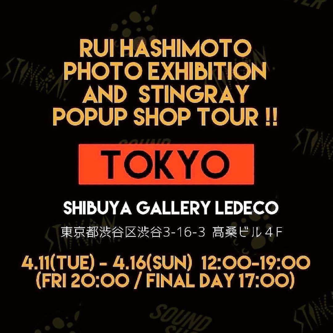 橋本塁さんのインスタグラム写真 - (橋本塁Instagram)「【渋谷サウシュー写真展&STINGRAY終了】4日目無事に終了！ありがとうございました！ 明後日まで渋谷ルデコ(渋谷区渋谷3-16-3高桑ビル4階)にて！僕はずっと居ます！今年から16バンド展示にパワーアップ！STINGRAY新作もリリース！差し入れありがとうございました！明日はAyana店長デイ&シークレット弾き語り！是非！」4月14日 20時29分 - ruihashimoto