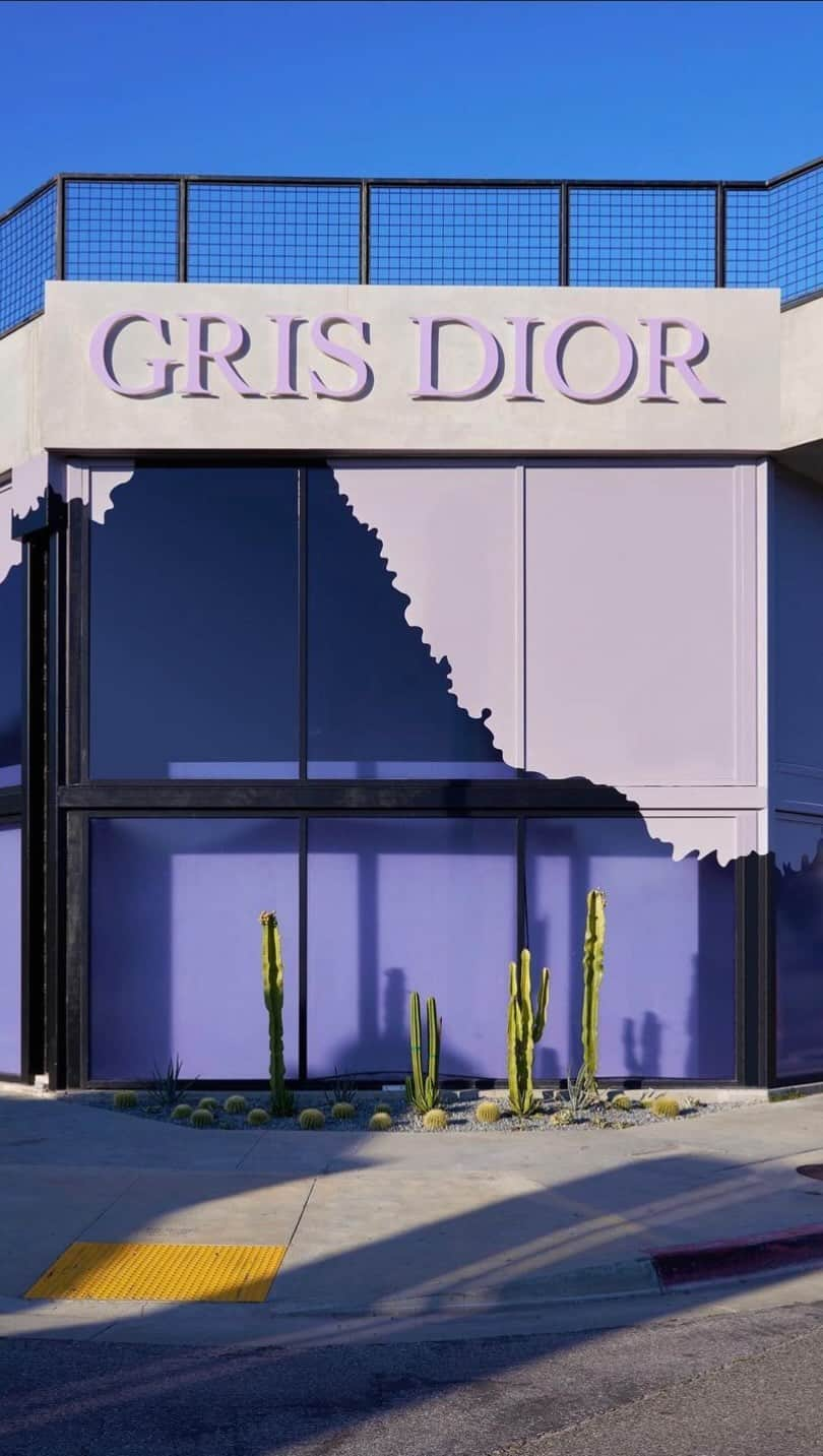 rob scheppyのインスタグラム：「#DareInGrisDior The Grey Zone Los Angeles #diorLAcollectionprivee @diorbeauty」